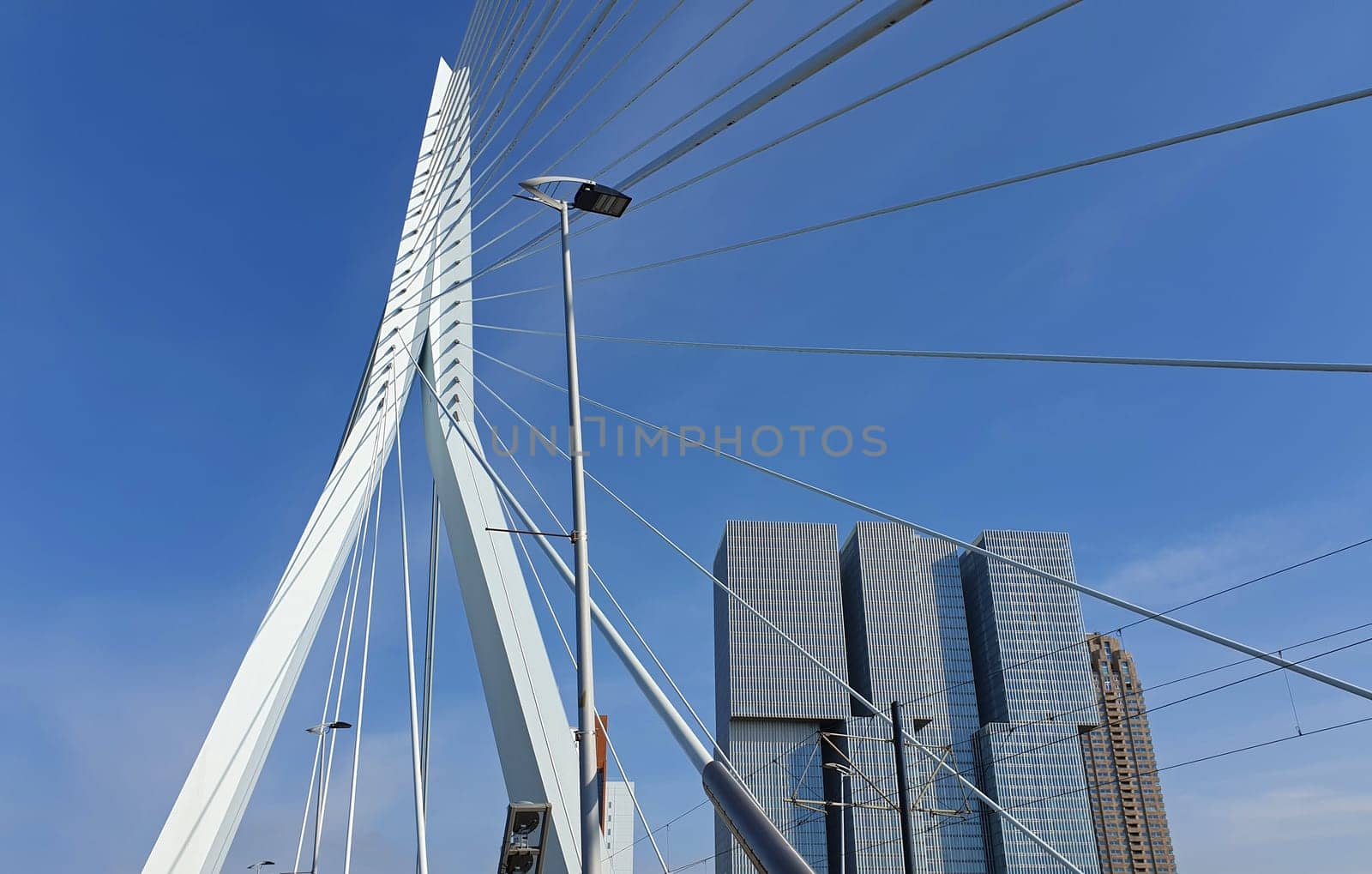 Erasmus bridge (The Swan) over Meuse river in Rotterdam, the Netherlands. Abstract architecture details over blue sky background.