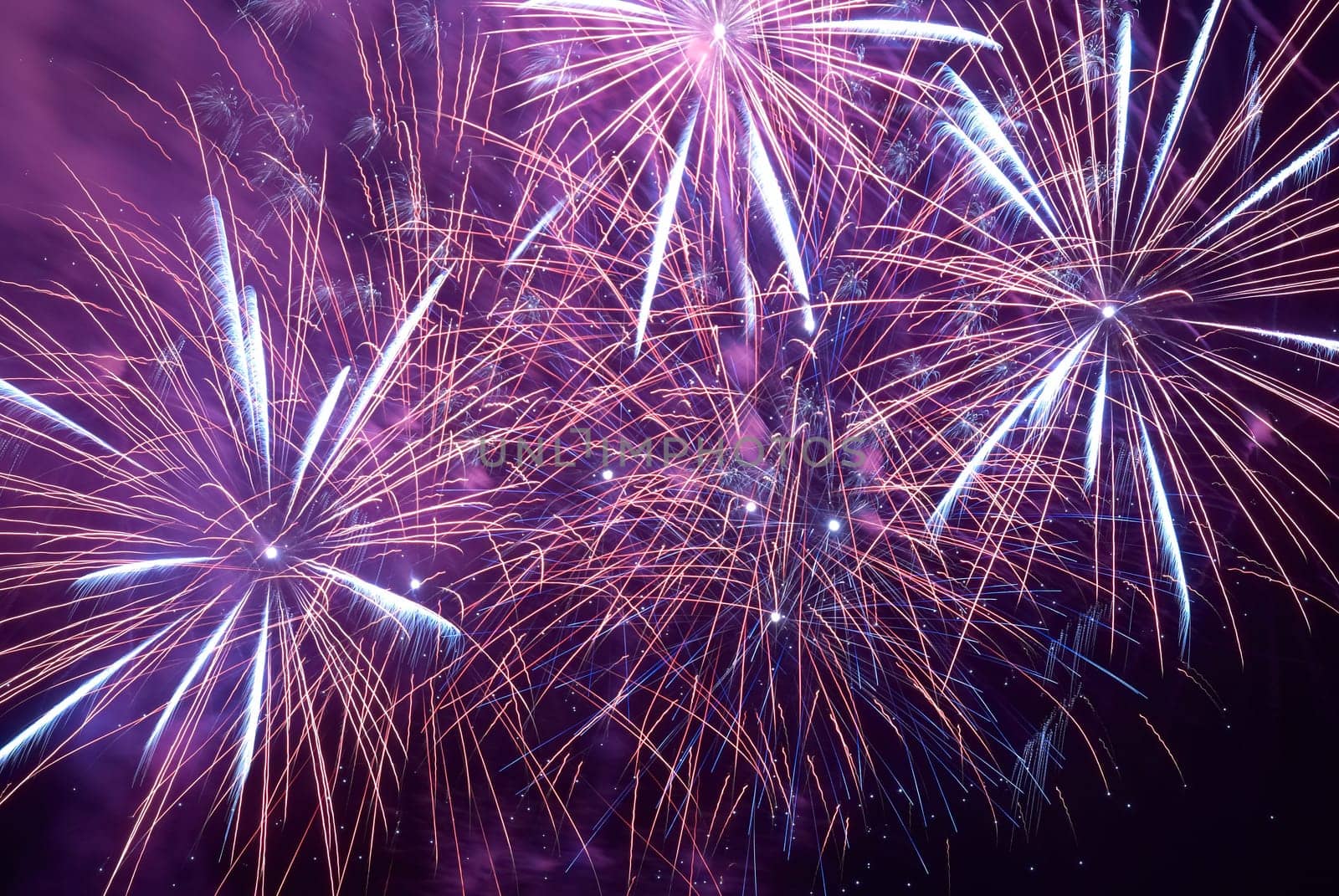 Red colorful fireworks on the black sky background