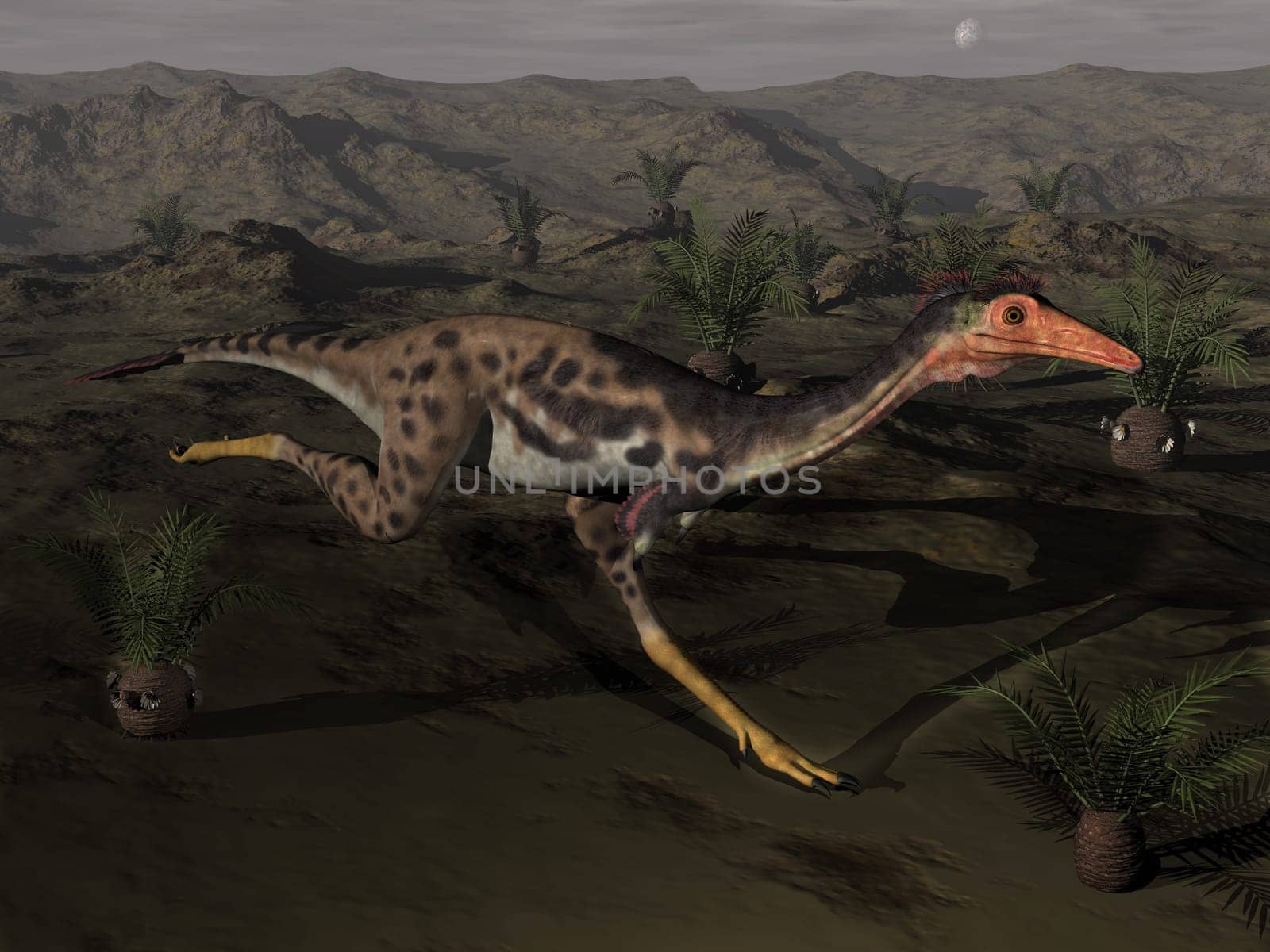 Mononykus dinosaur running by night surrounded with cycadeodia plants - 3D render
