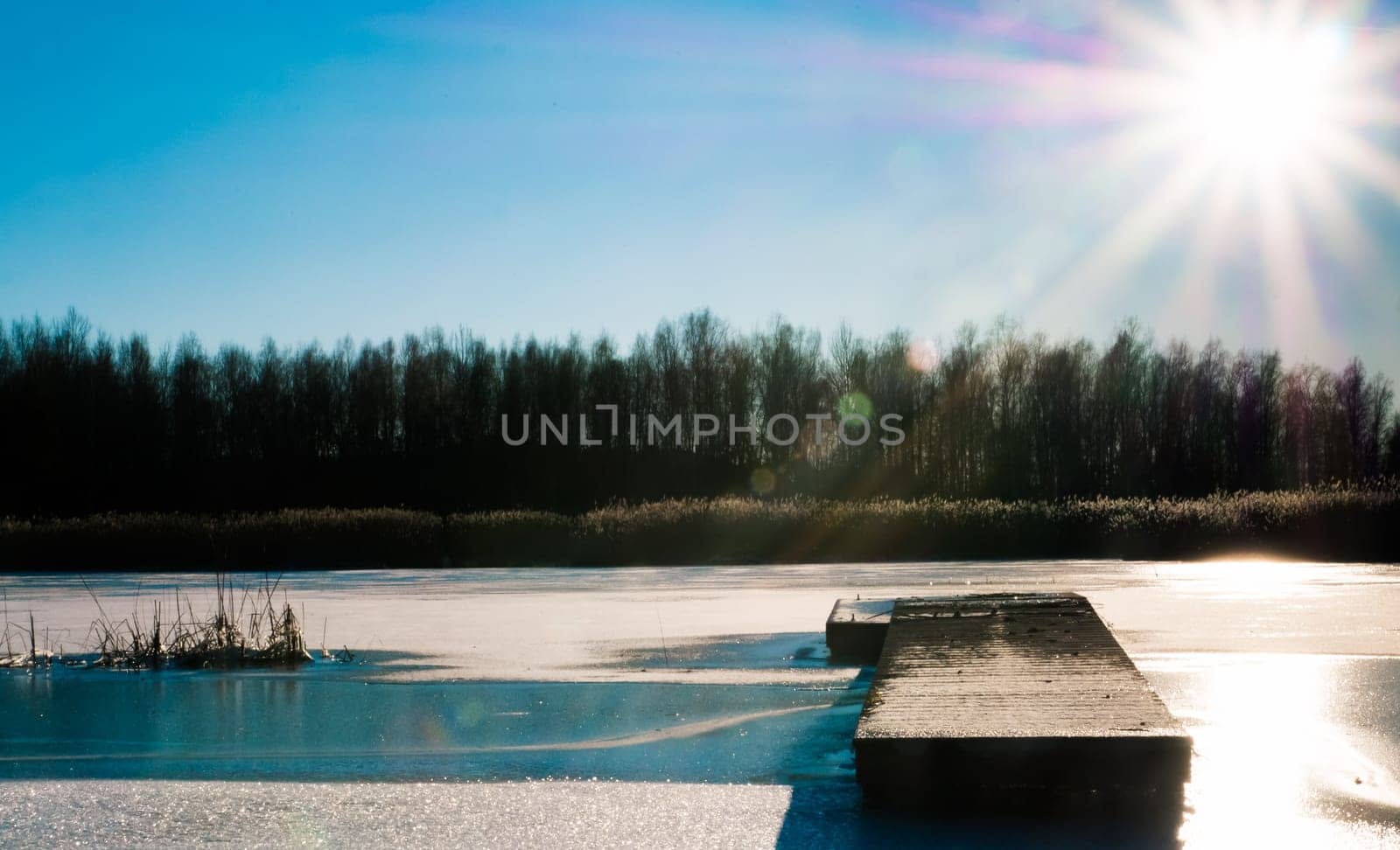 Frozen river and trees in winter season in sunny day