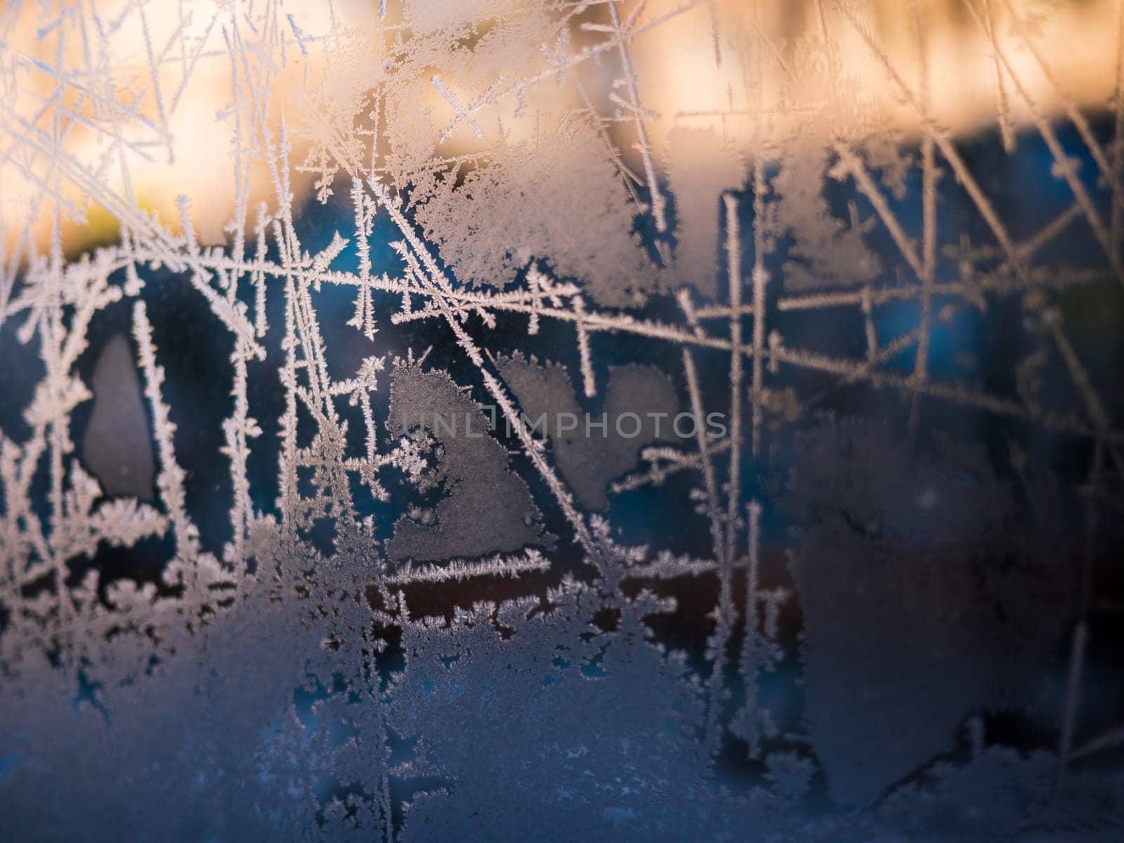 Frost abstract background in cold winted day