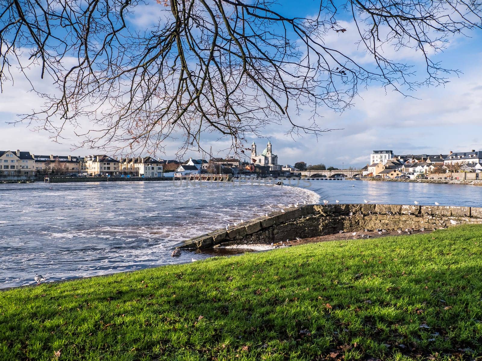 Seagulls over river in Athlone dam in background, ireland