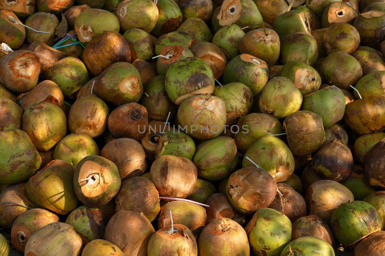 Many unrefined coconuts with plastic tubes used to consume coconut milk