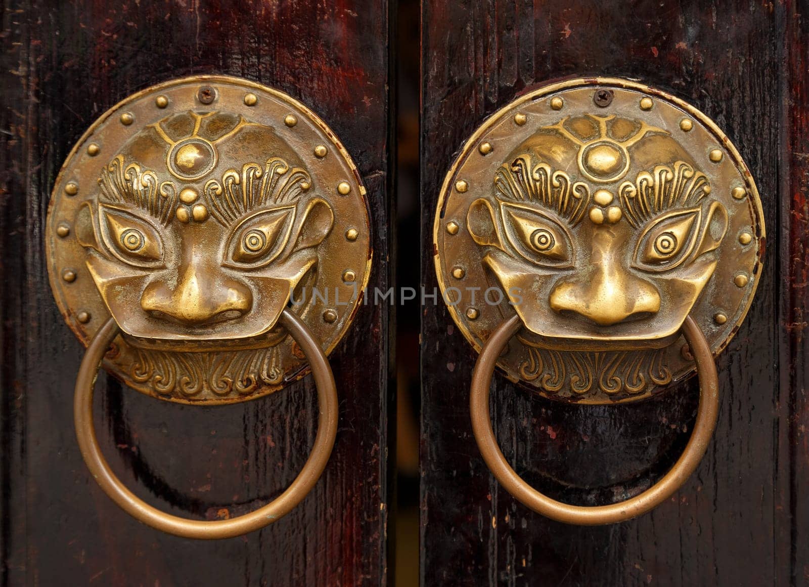 Fancy shaped copper door handles in the shape of a lion's face on an old wooden door