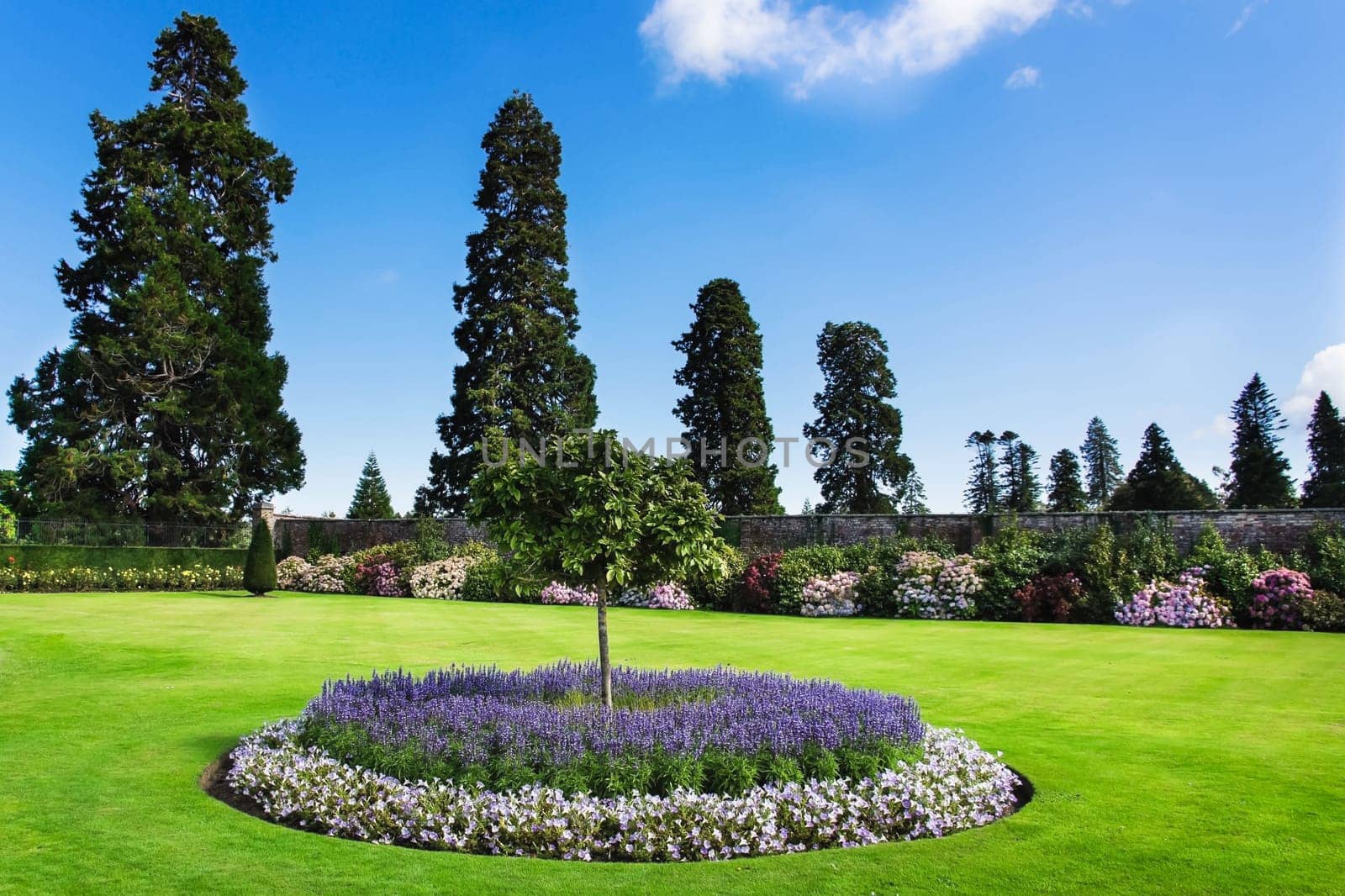 Beautiful Powerscourt garden, with rows of flowers, trimmed bushes and trees, blue sky and clouds in background, Wicklow, Ireland