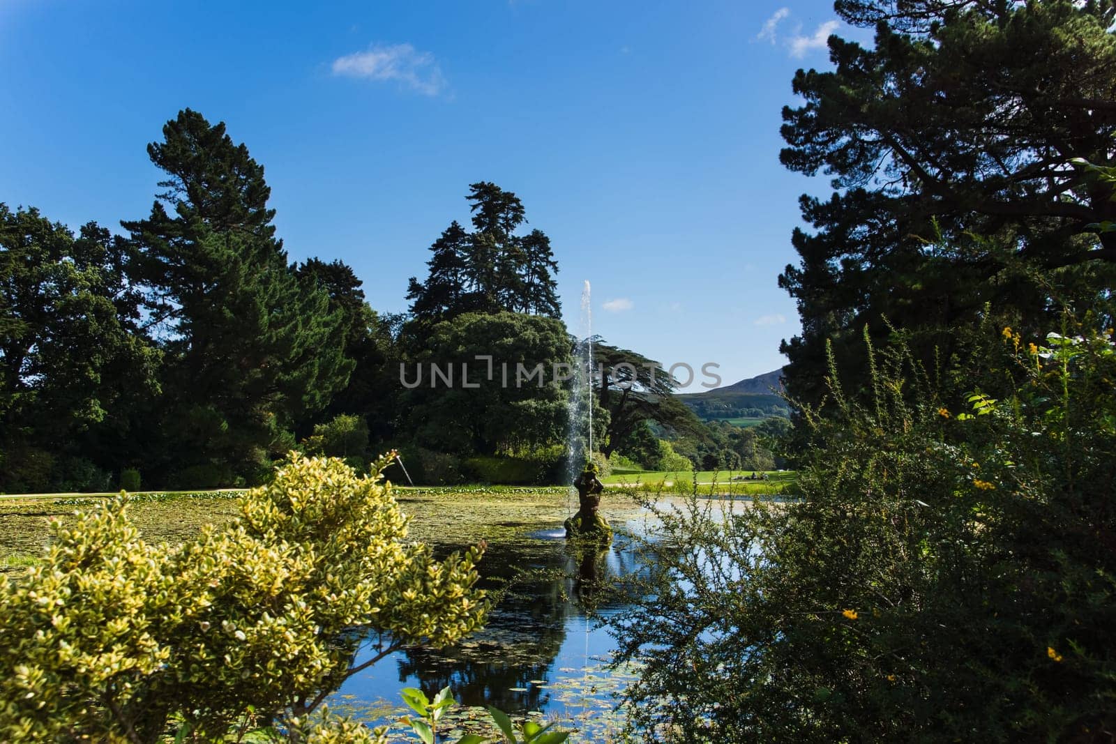 A lake with fountain and many water lilies, surrounded by green trees, Powerscourt gardens, Wicklow, Ireland