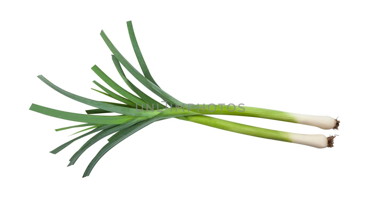 Green leek sliced isolated on white background