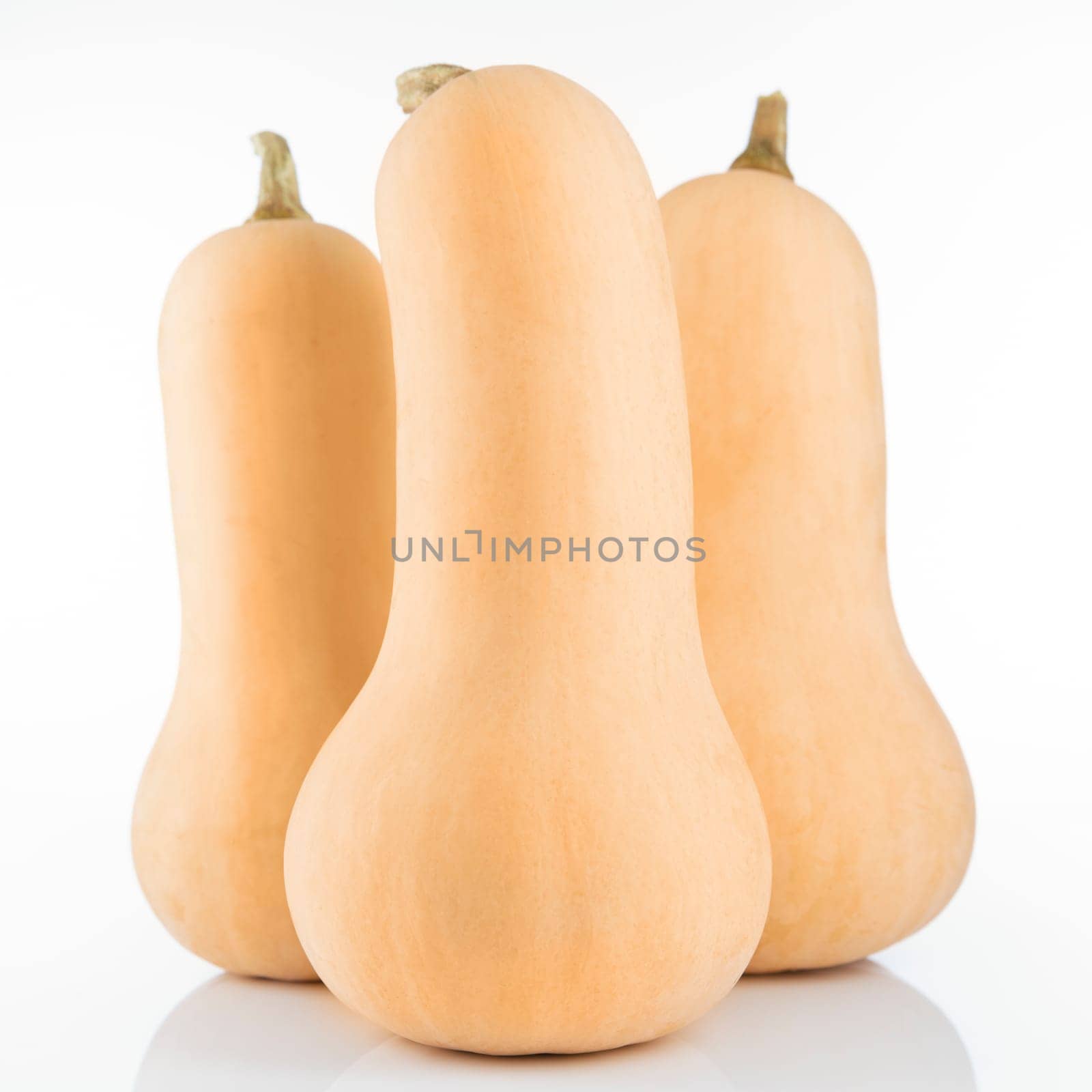 Three butternut squash from eye level on white background.