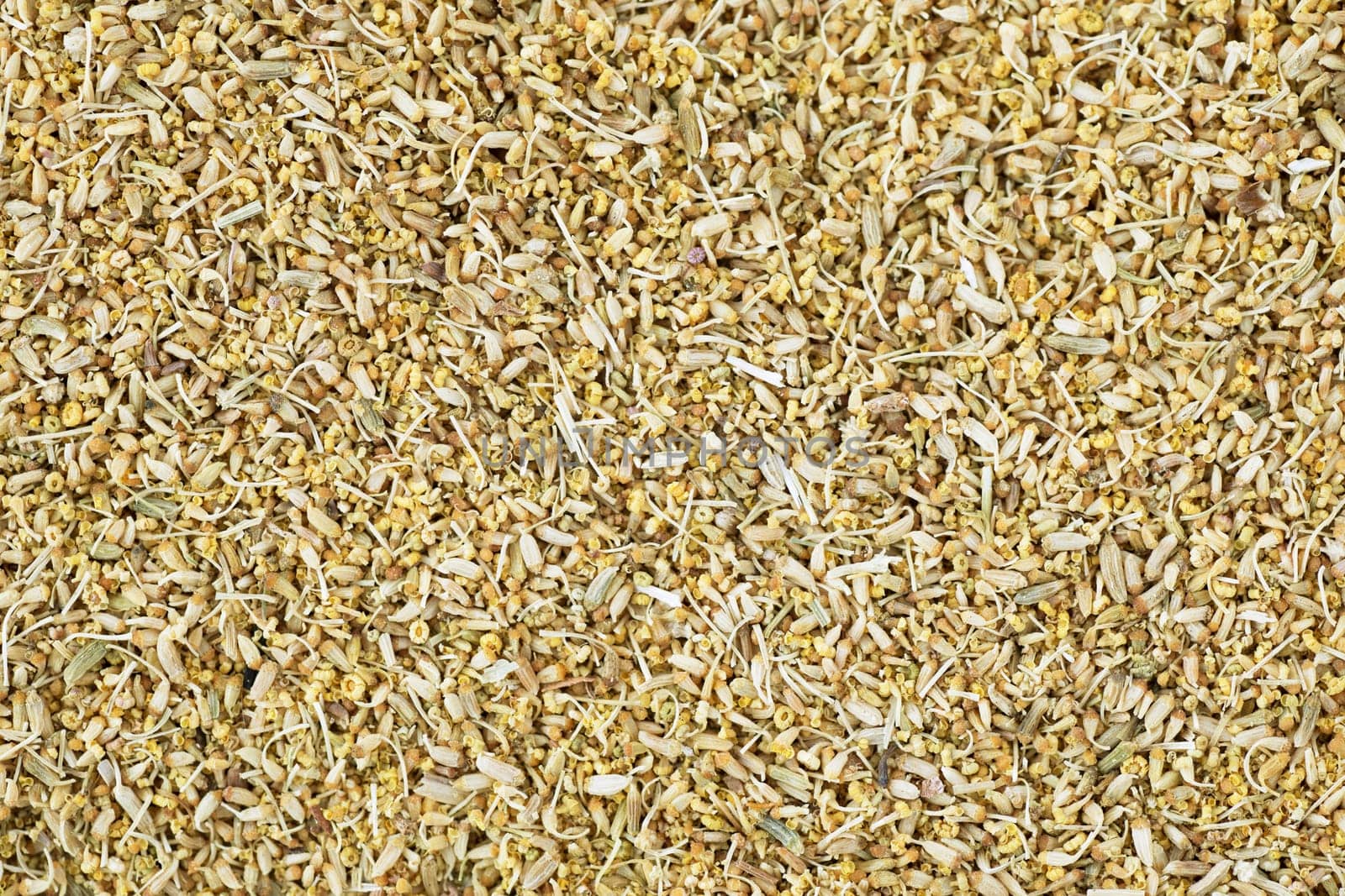 Fresh fennel pollen filling frame for food background.