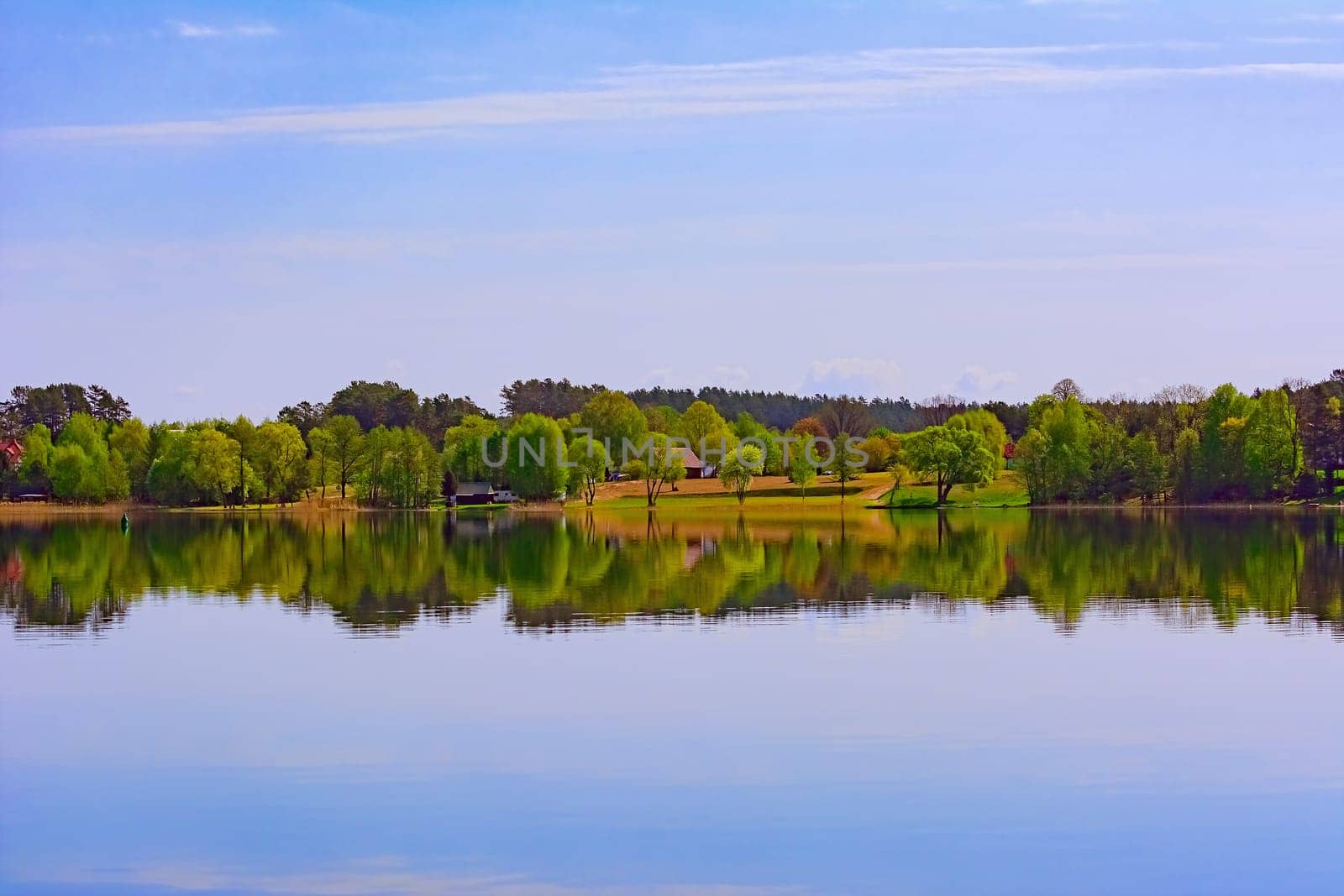 Shore of the lake in Poland