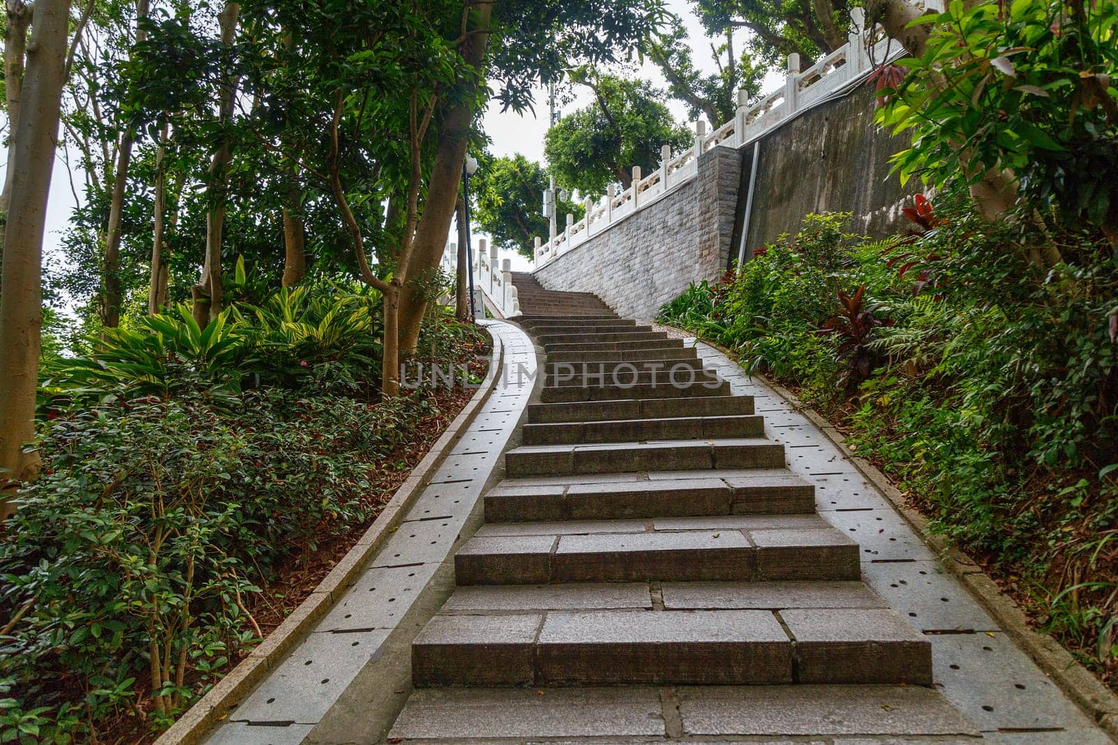 Stone steps in a city green park, Shenzhen, China