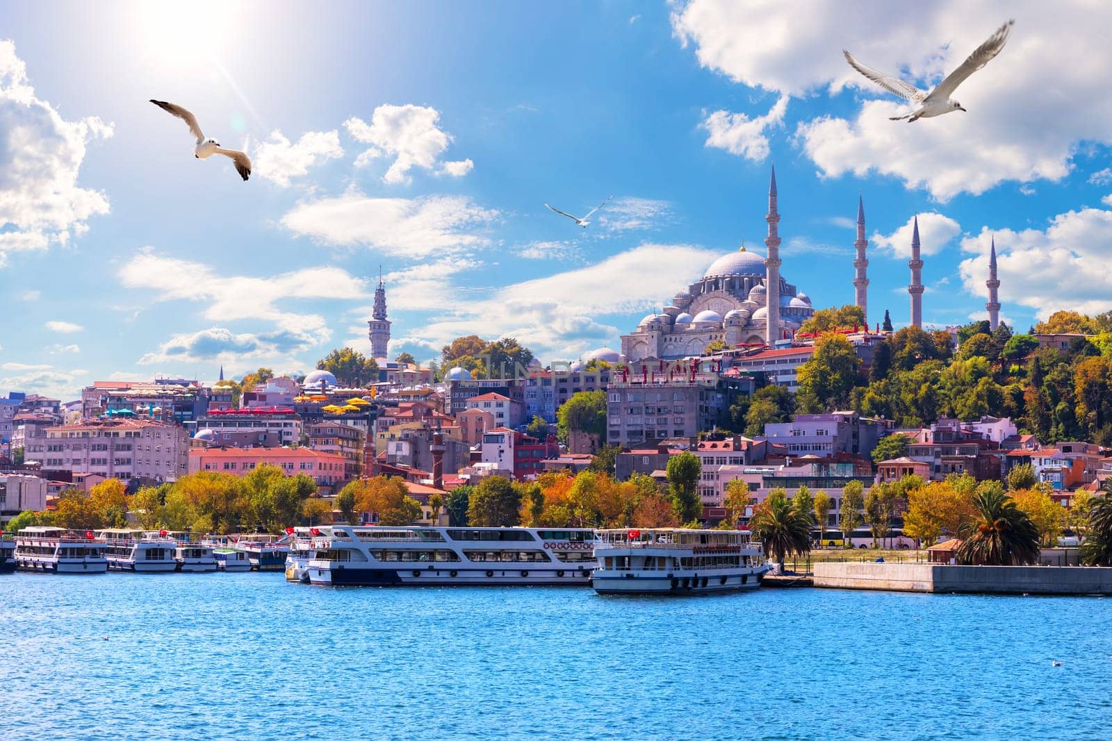 The Suleymaniye Mosque, beautiful view from the Golden Horn inlet, Istanbul, Turkey.