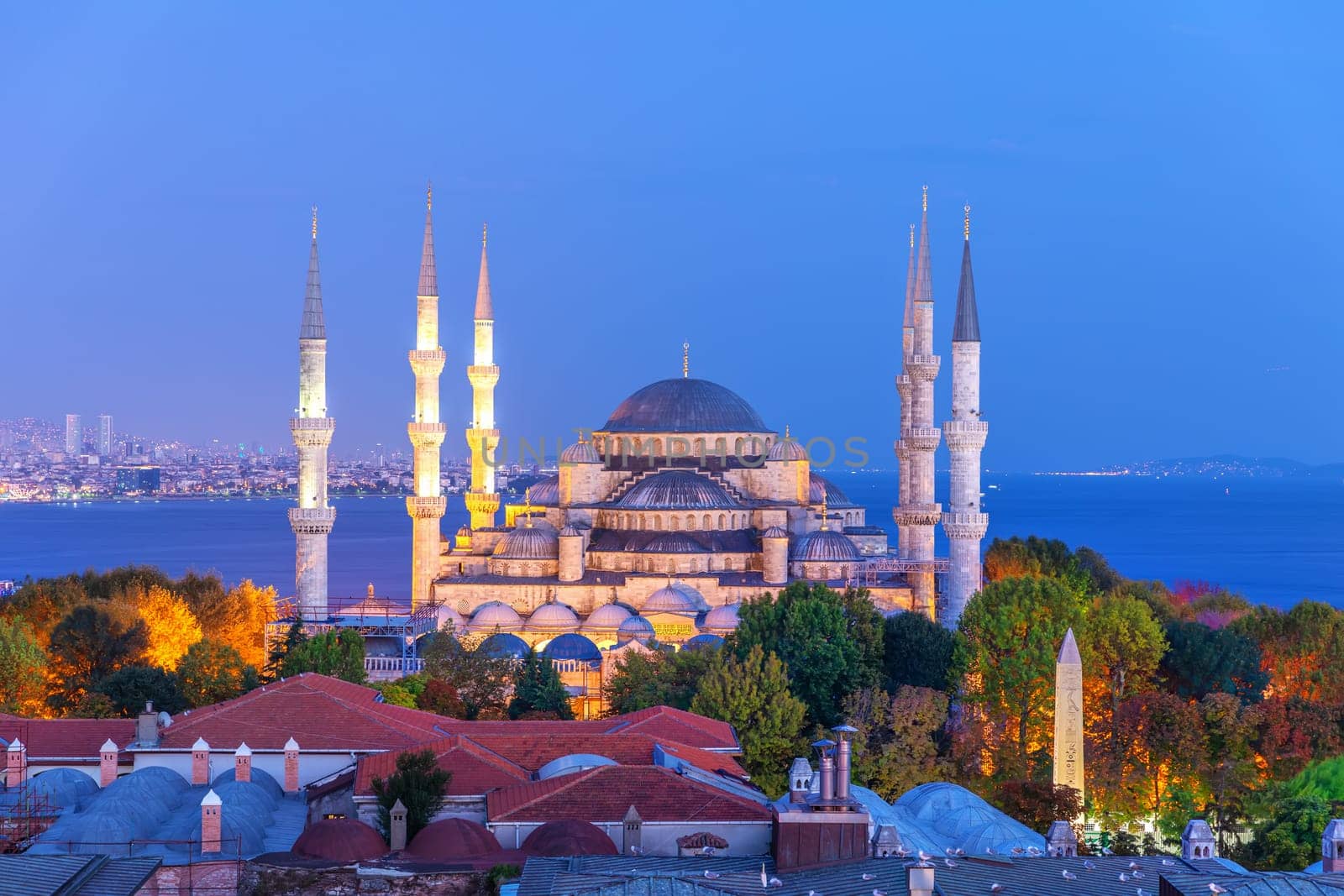 The Blue Mosque or Sultan Ahmet Mosque evening view, Istanbul, Turkey.