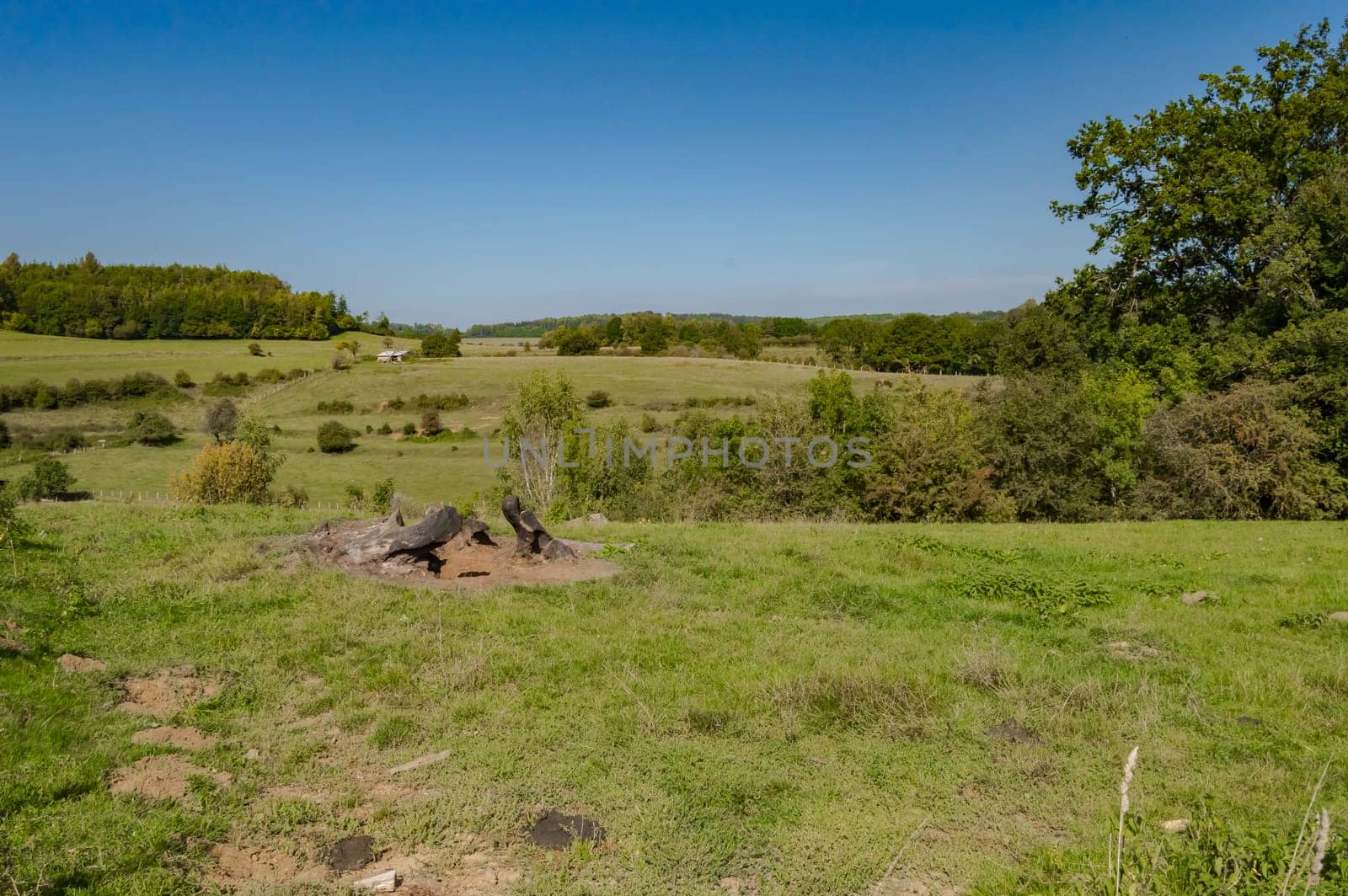 View of a hill in a meadow of the gaume in Meix in front of Virton near Virton in Belgium