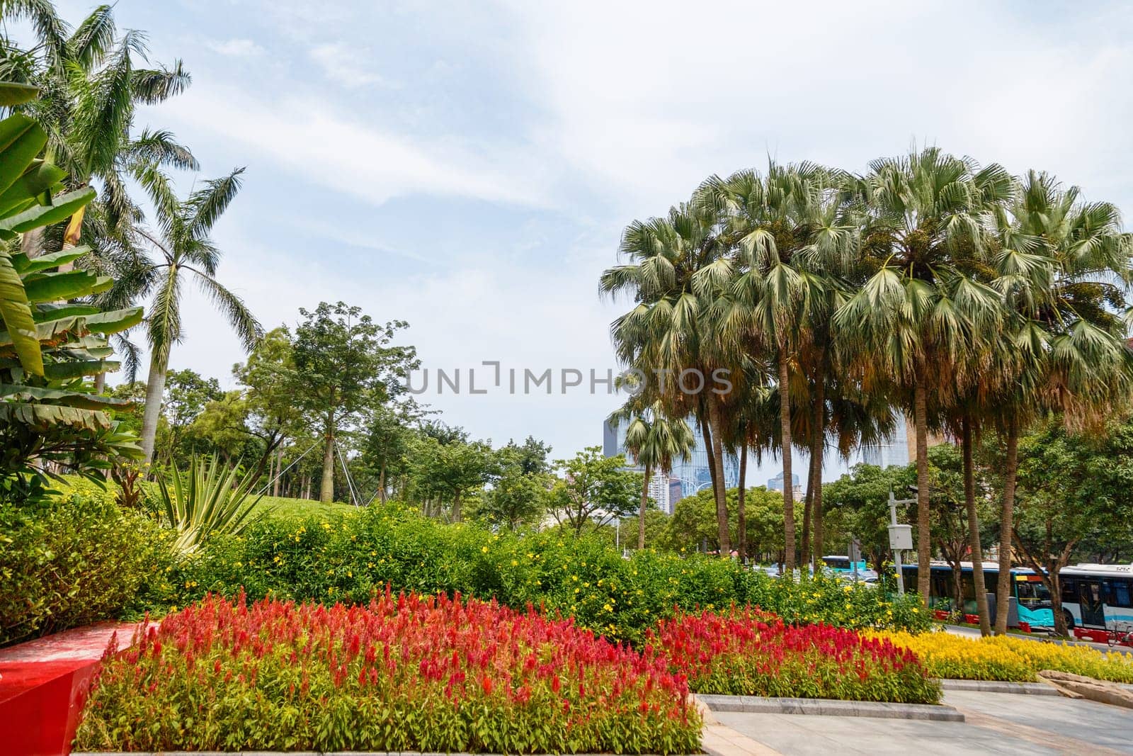 Scenic corner of the park in the center of the metropolis, Shenzhen, China, Asia
