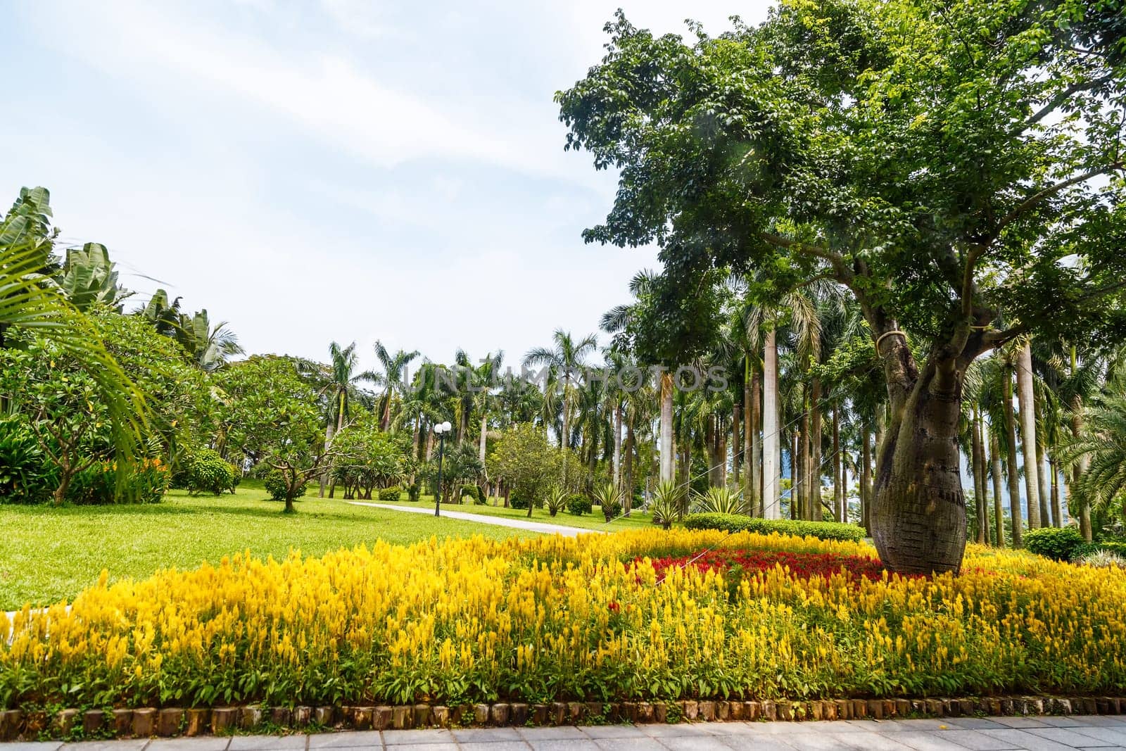 Scenic corner of the park in the center of the metropolis, Shenzhen, China, Asia