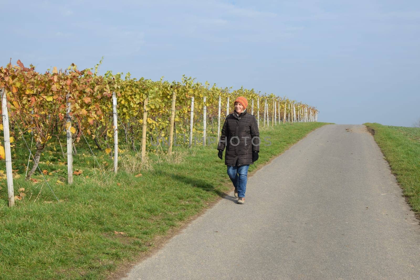 Walk in a vineyard