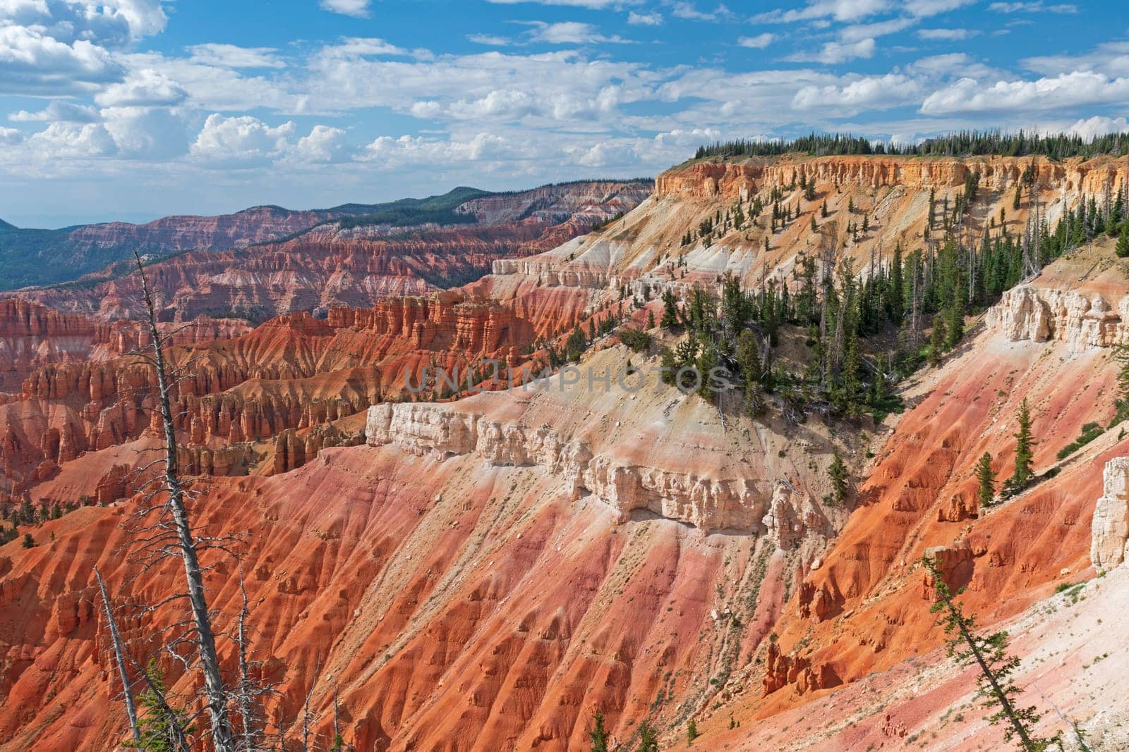 Colorful Cliffs in the Summer Sun in Cedar Breaks National Monument in Utah