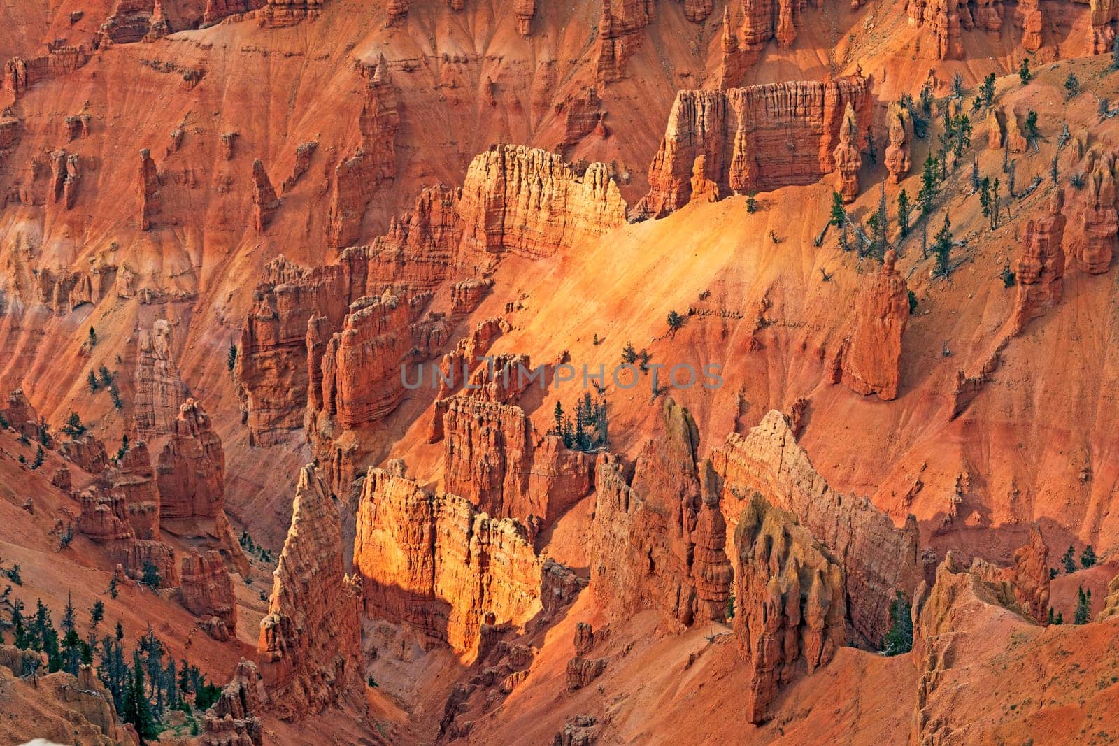 Hoodoo Details in a Deep Canyon in Cedar Breaks National Monument in Utah