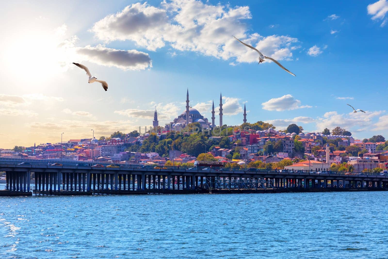 The Suleymaniye Mosque, beautiful Istanbul view from the Bosphorus, Turkey.