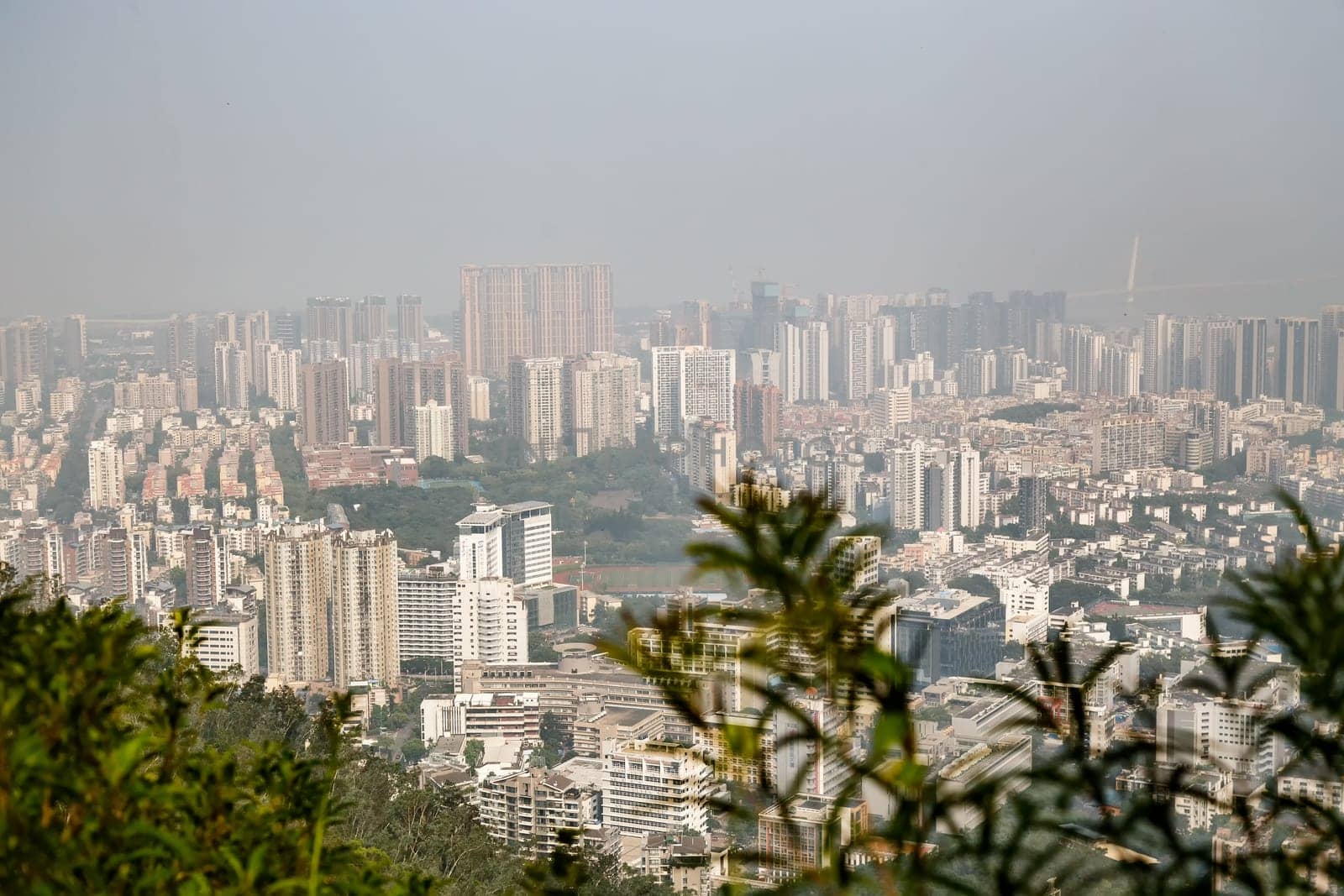 View of the foggy city from the mountains in the early morning, Shenzhen, China, Asia