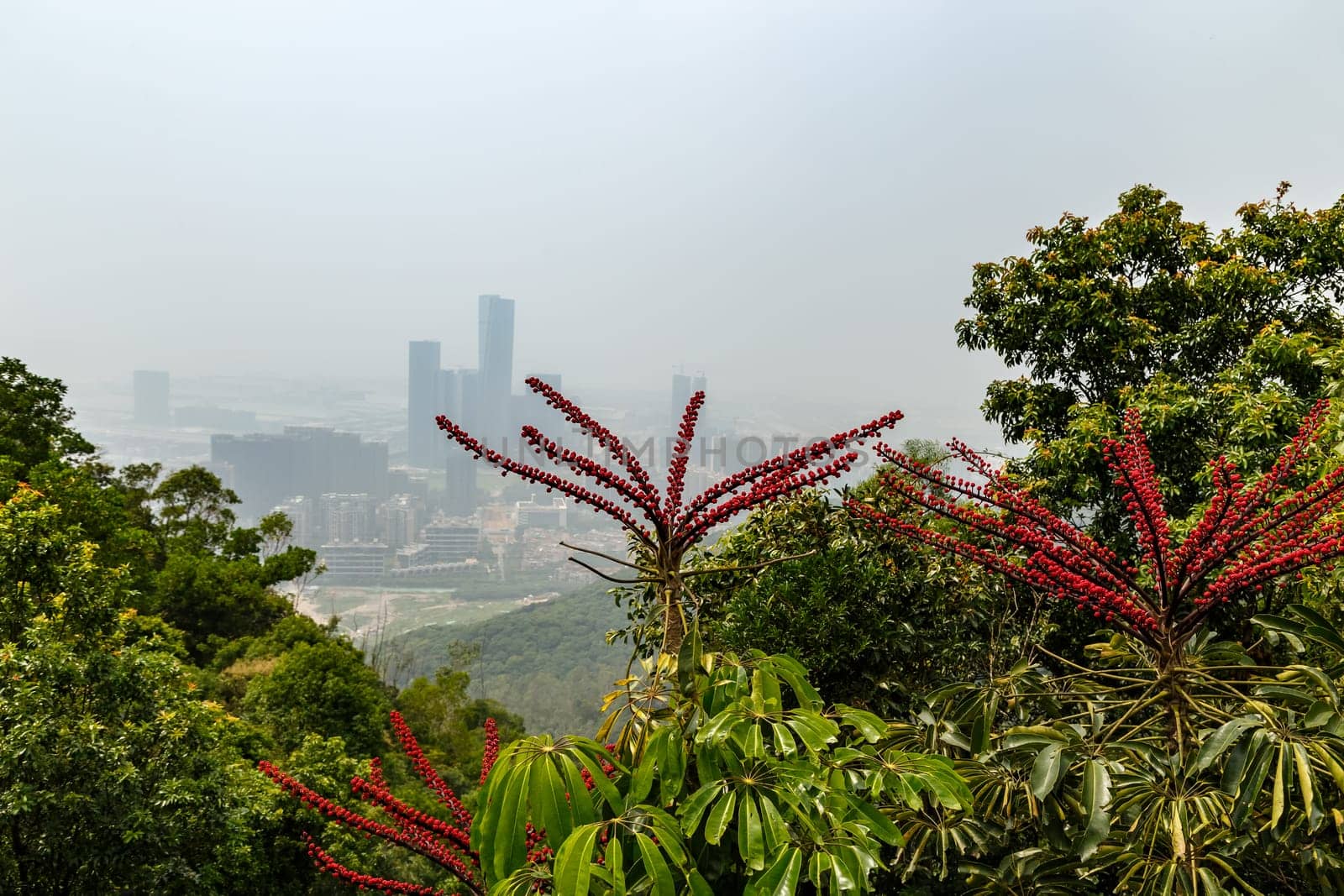 View of the foggy city from the mountains in the early morning, Shenzhen, China, Asia