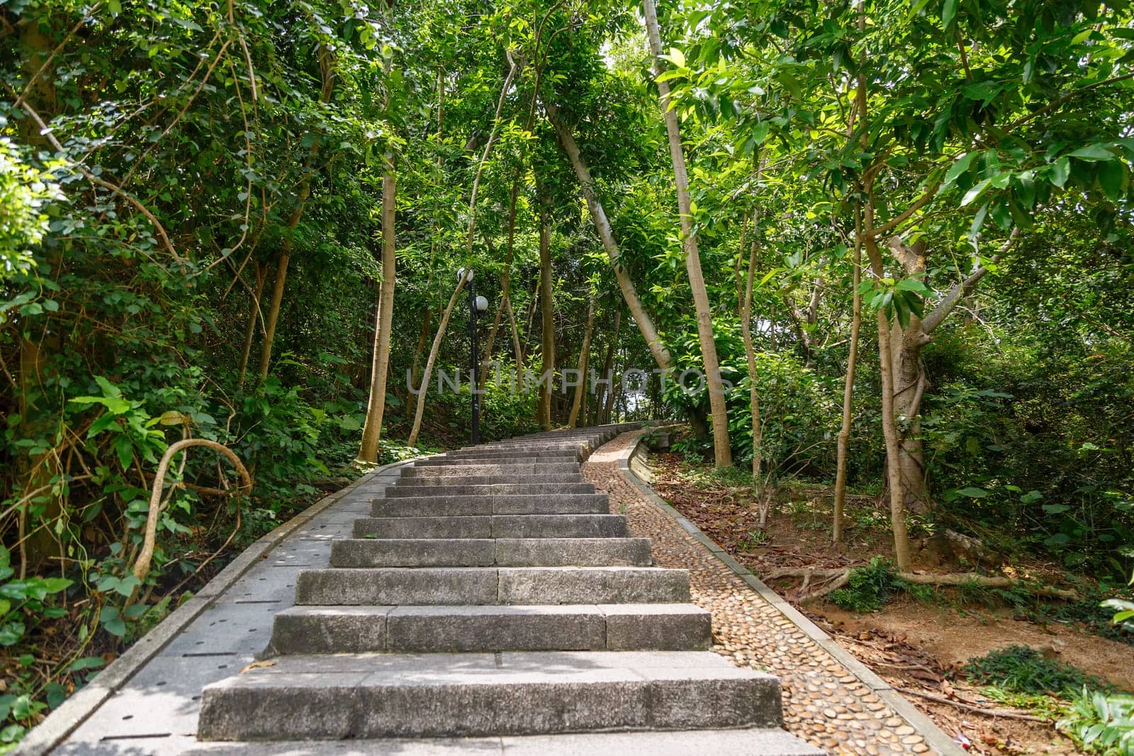 Stone steps in a city green park, Shenzhen, China
