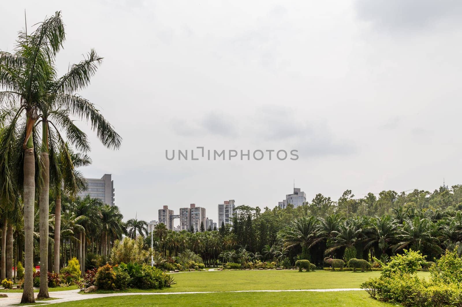 Scenic corner of the park in the center of the metropolis, Shenzhen, China, Asia