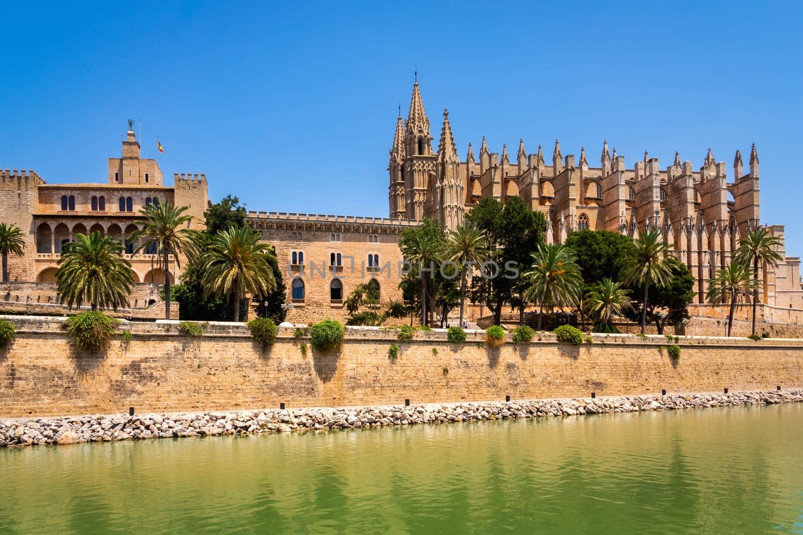 The Cathedral of Santa Maria of Palma in Mallorca with pond and green palm trees in front, Balearic Islands, Spain