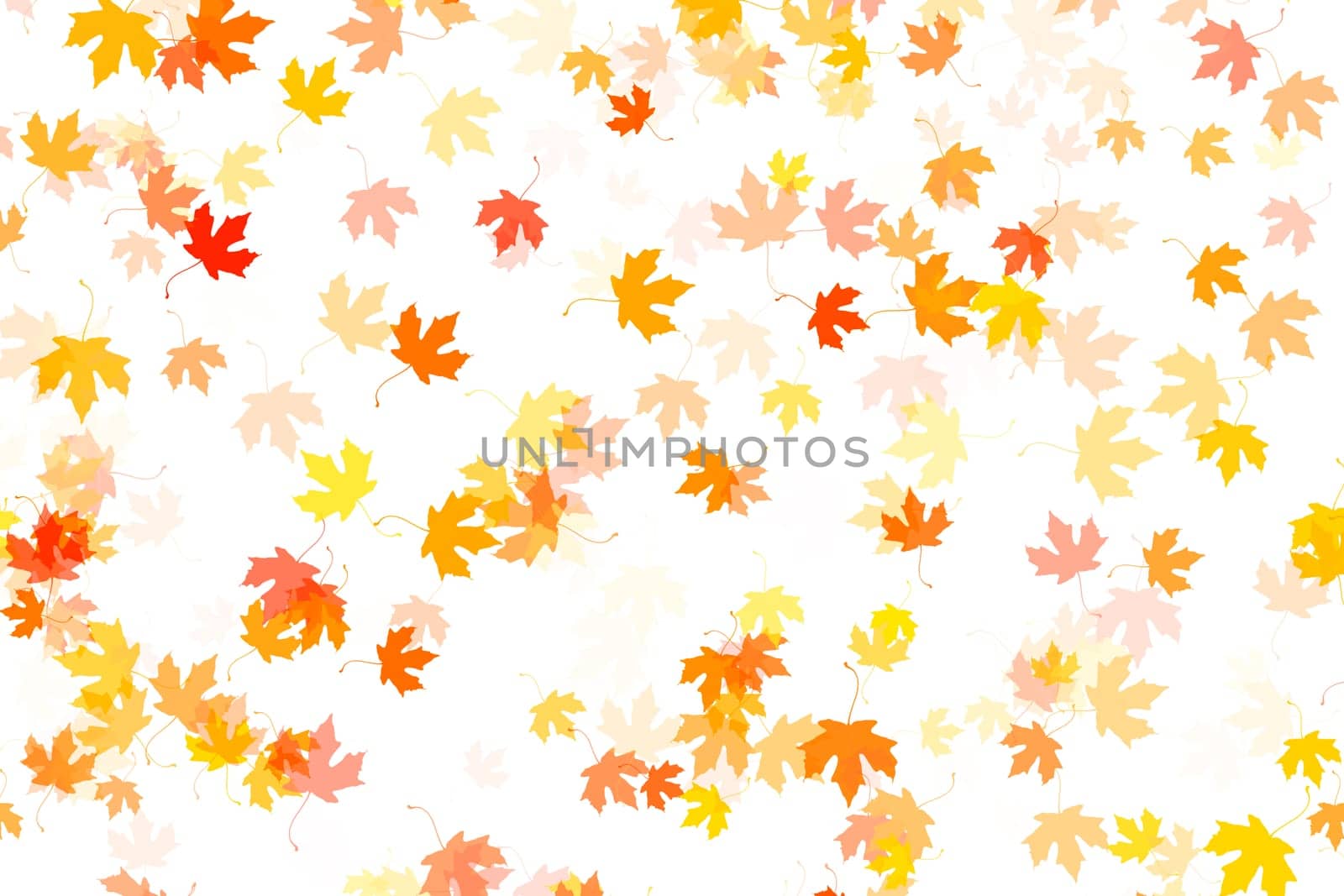 Multi colored autumn leaves background