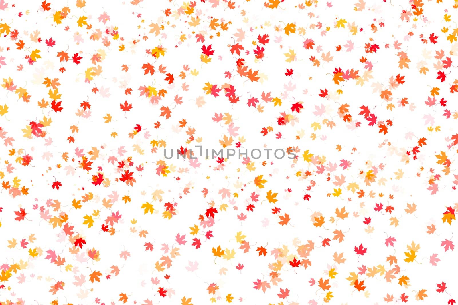 Multi colored autumn leaves background