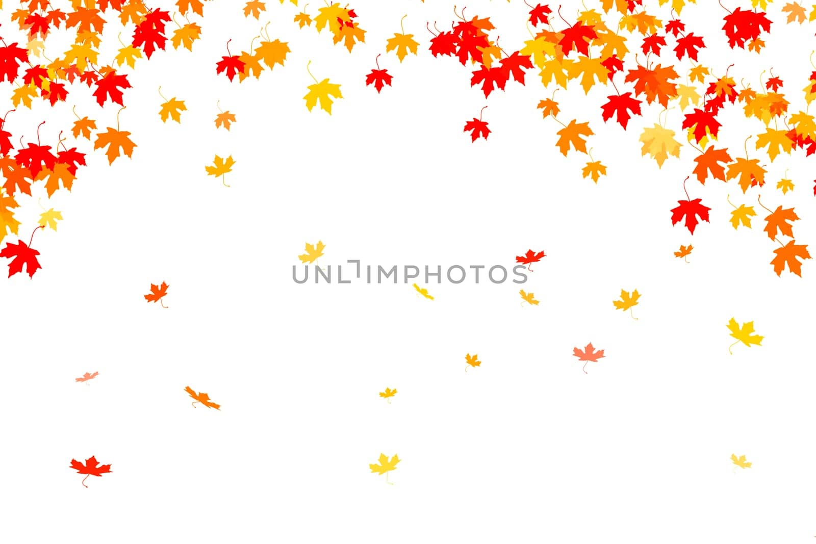 Multi colored autumn leaves background