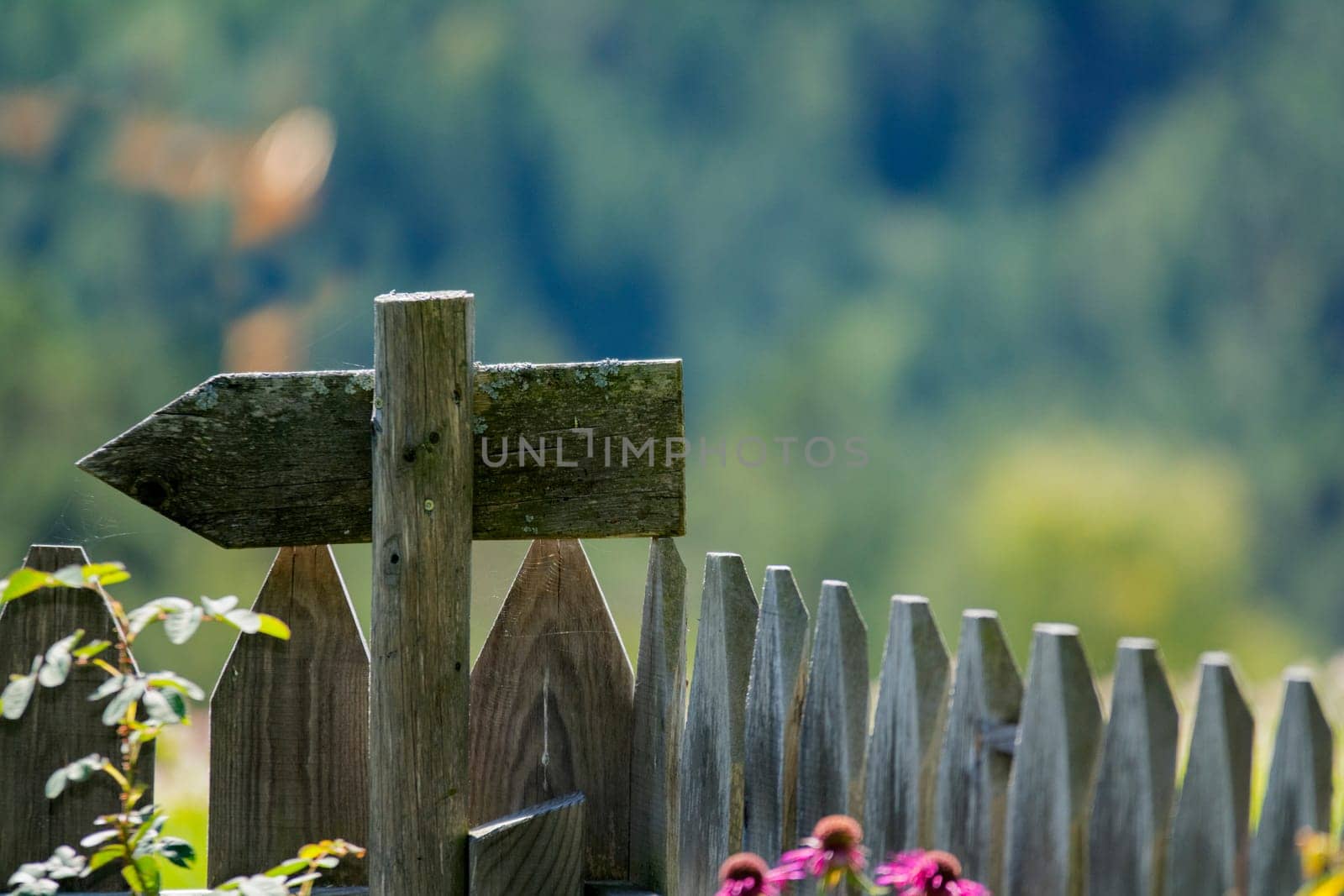 A wooden fence in south tyrol