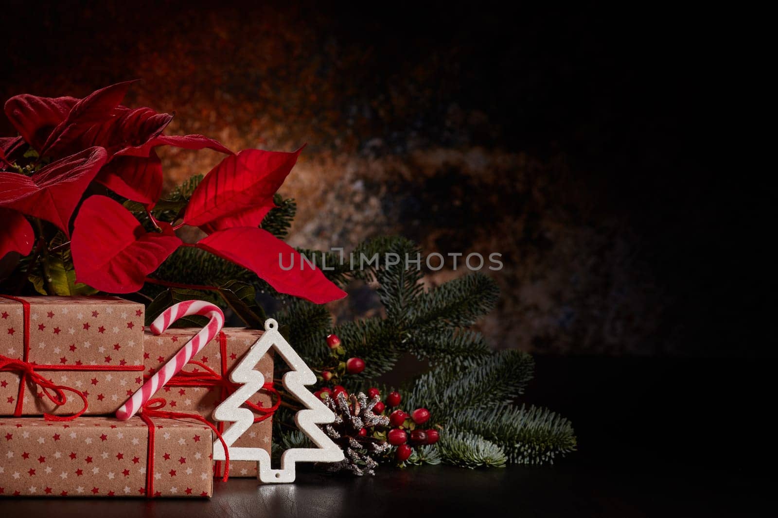 Christmas decoration with Red Poinsettia flowers (Euphorbia Pulcherrima), fir branch and gift boxes on a dark background. New year and Christmas background with copy space. Greeting card.