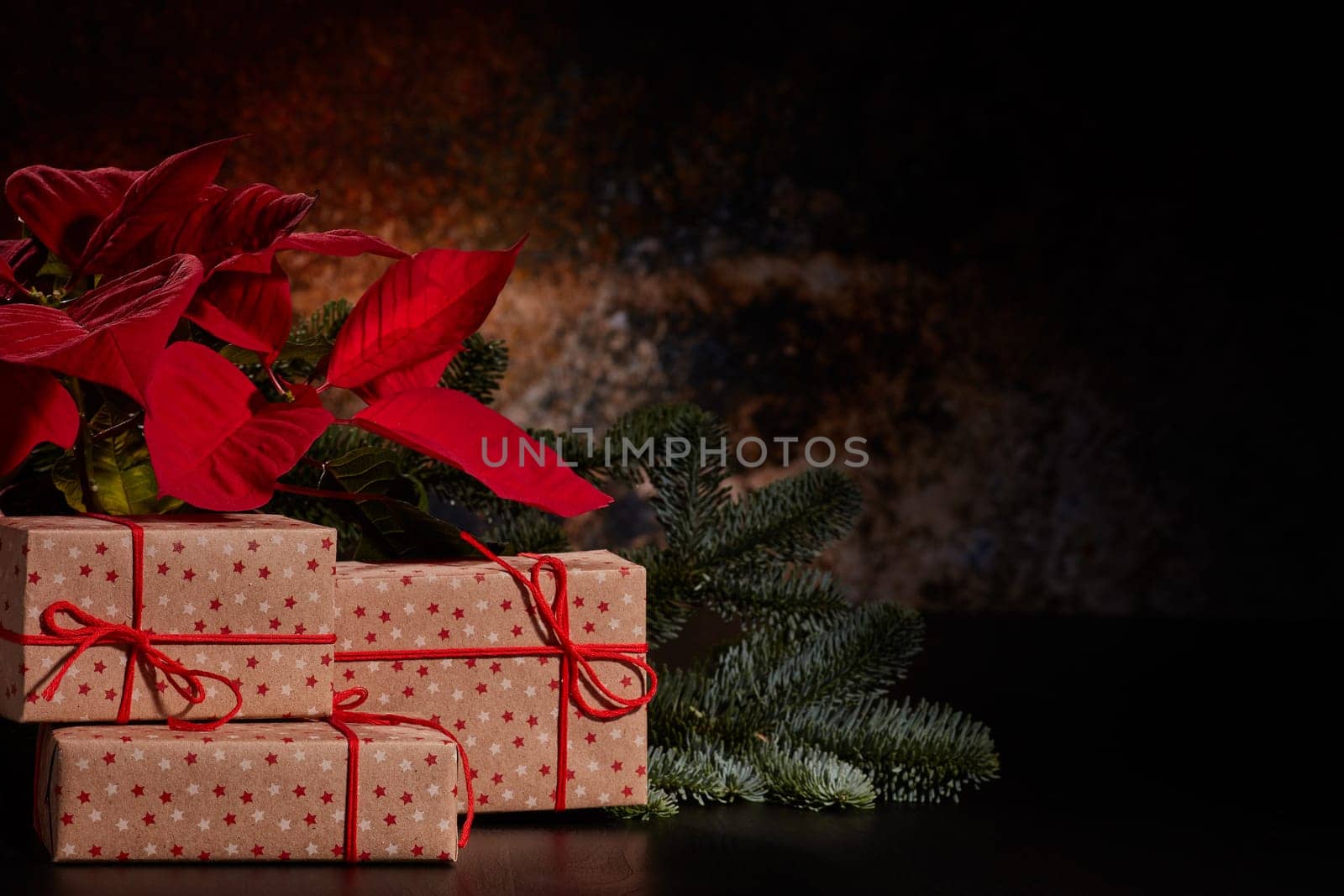 Christmas decoration with Red Poinsettia flowers (Euphorbia Pulcherrima), fir branch and gift boxes on a dark background. New year and Christmas background with copy space. Greeting card.