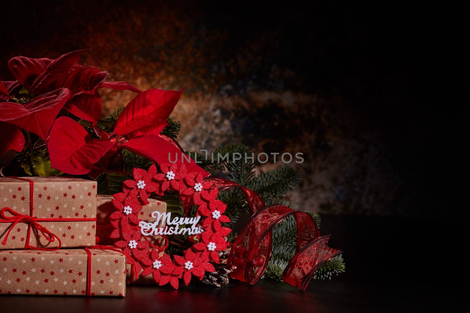 Christmas decoration with Red Poinsettia flowers (Euphorbia Pulcherrima), fir branch and gift boxes on a dark background. Christmas background with copy space. Greeting card.