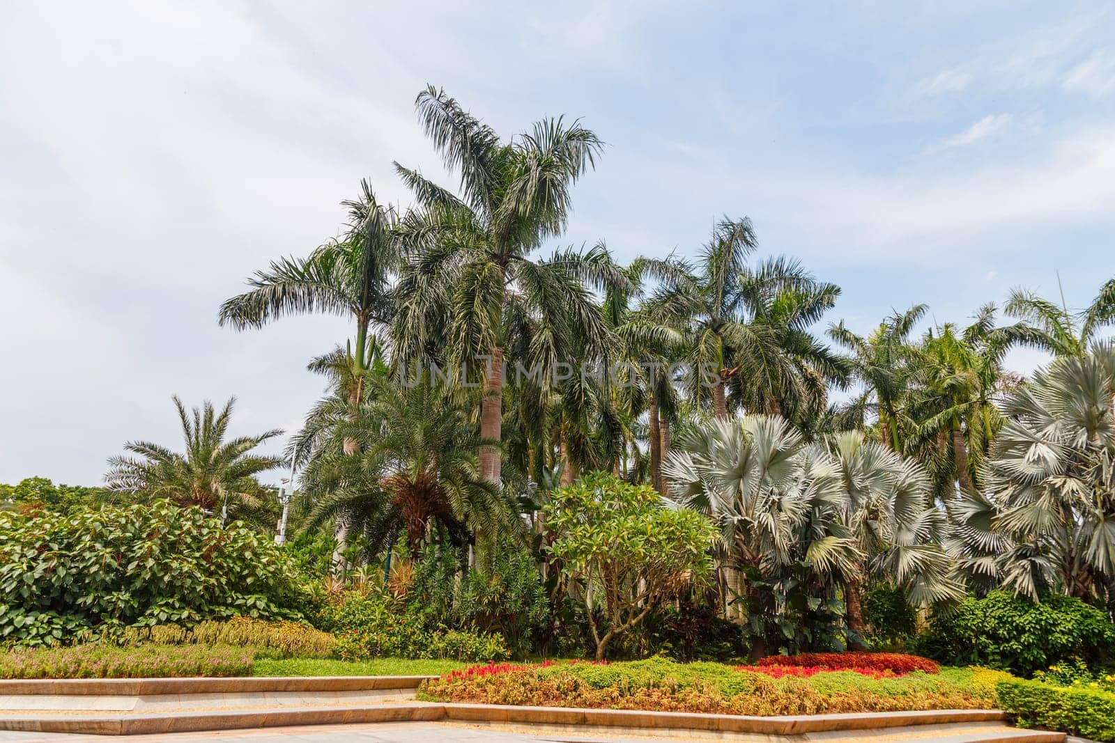 Scenic corner of the park in the center of the metropolis, Shenzhen, China, Asia