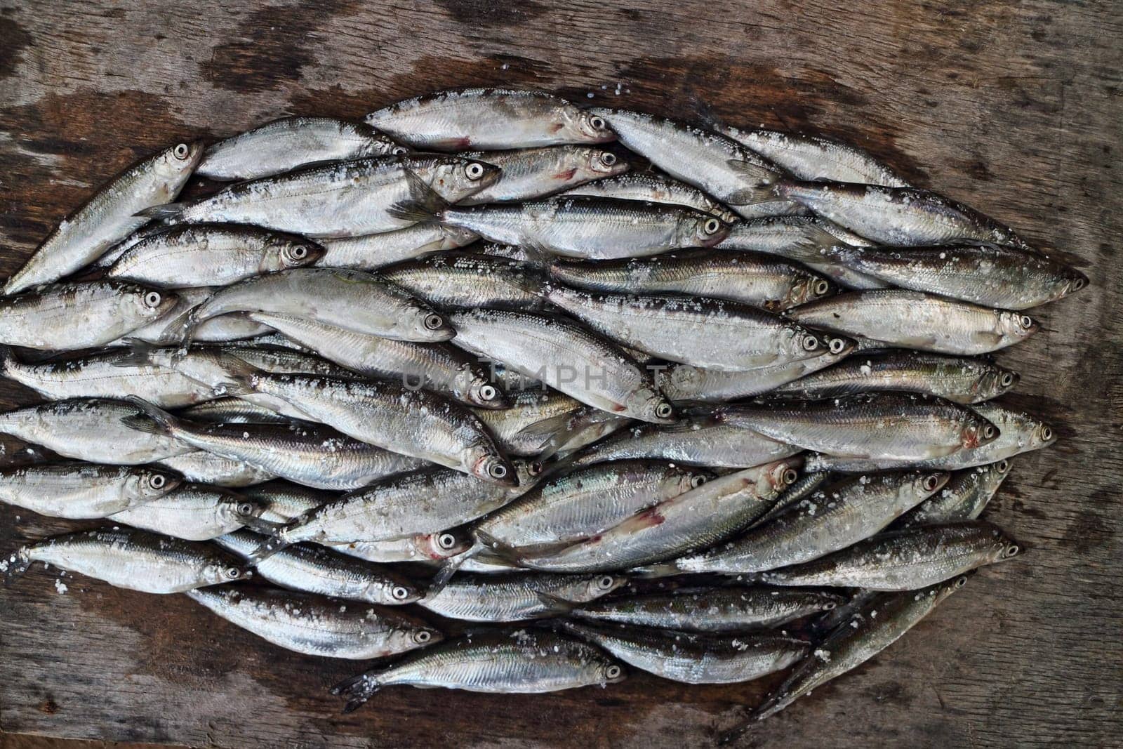 bunch of small silver fish vendace close to on the gray weathered wooden board