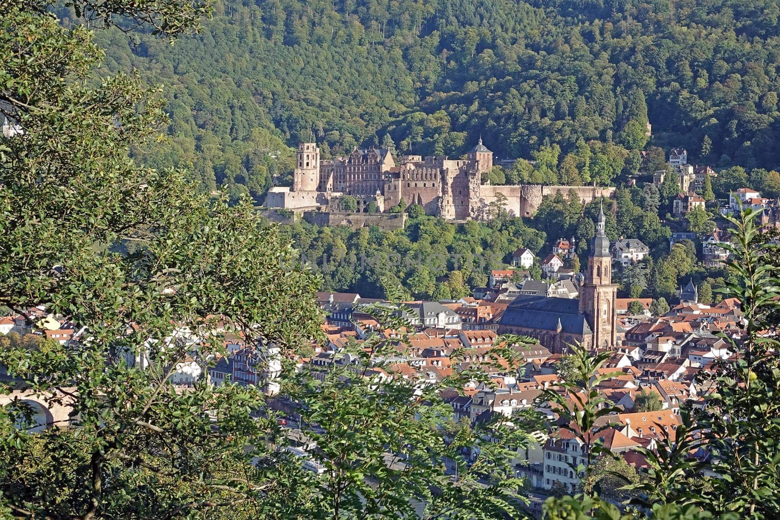 View of Heidelberg Castle and Heidelberg's Old Town with the Church of the Holy Spirit