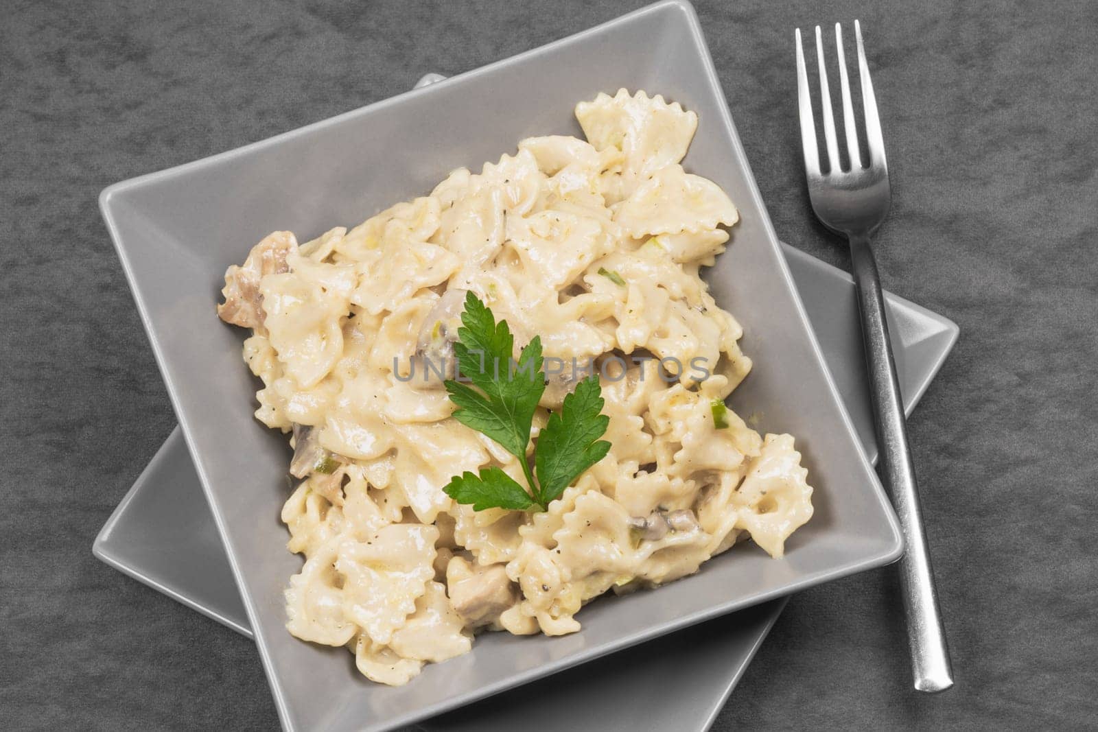 Pasta in cheese sauce with parsley Italian food in gray plate on gray background.