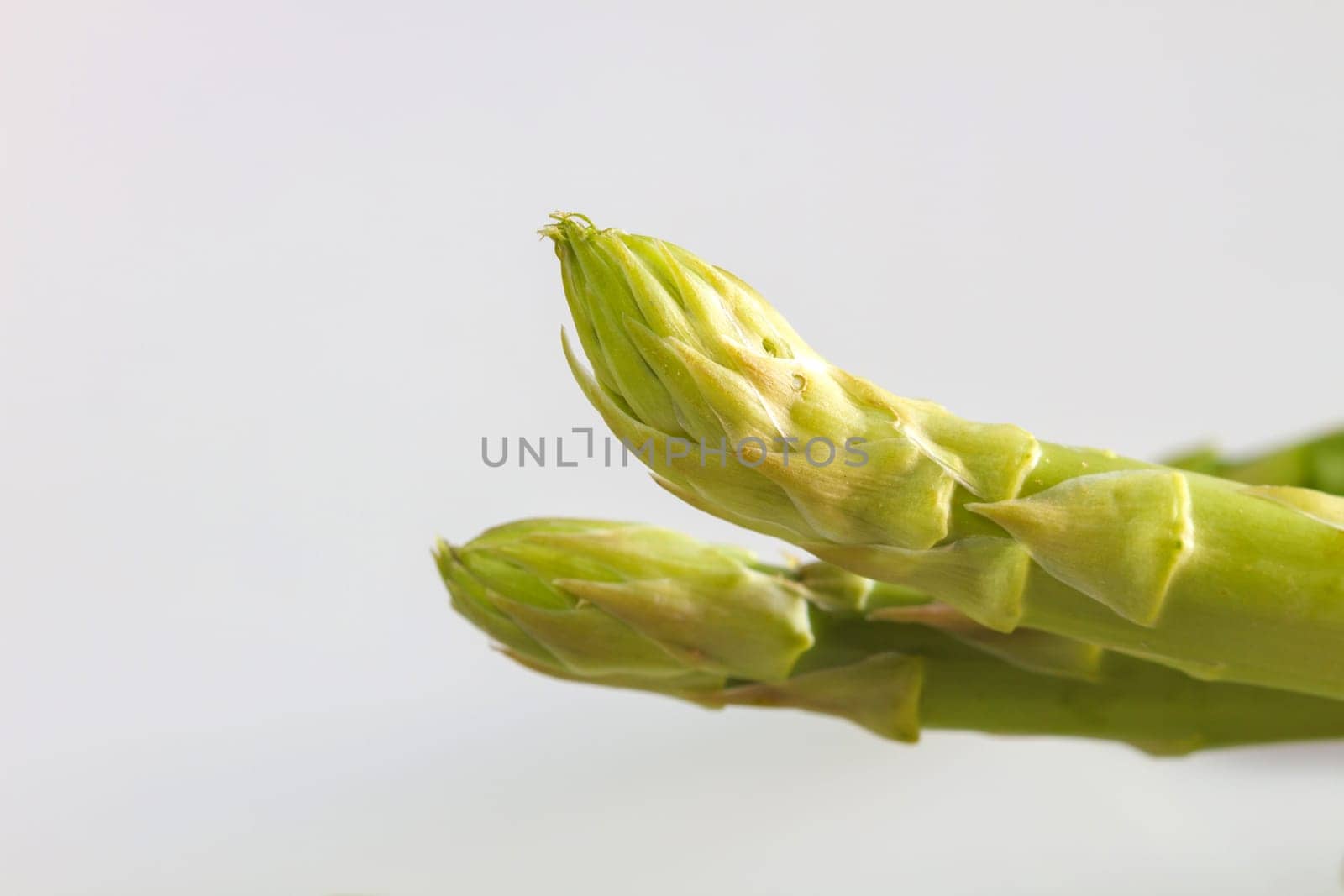 close up Fresh green asparagus on background