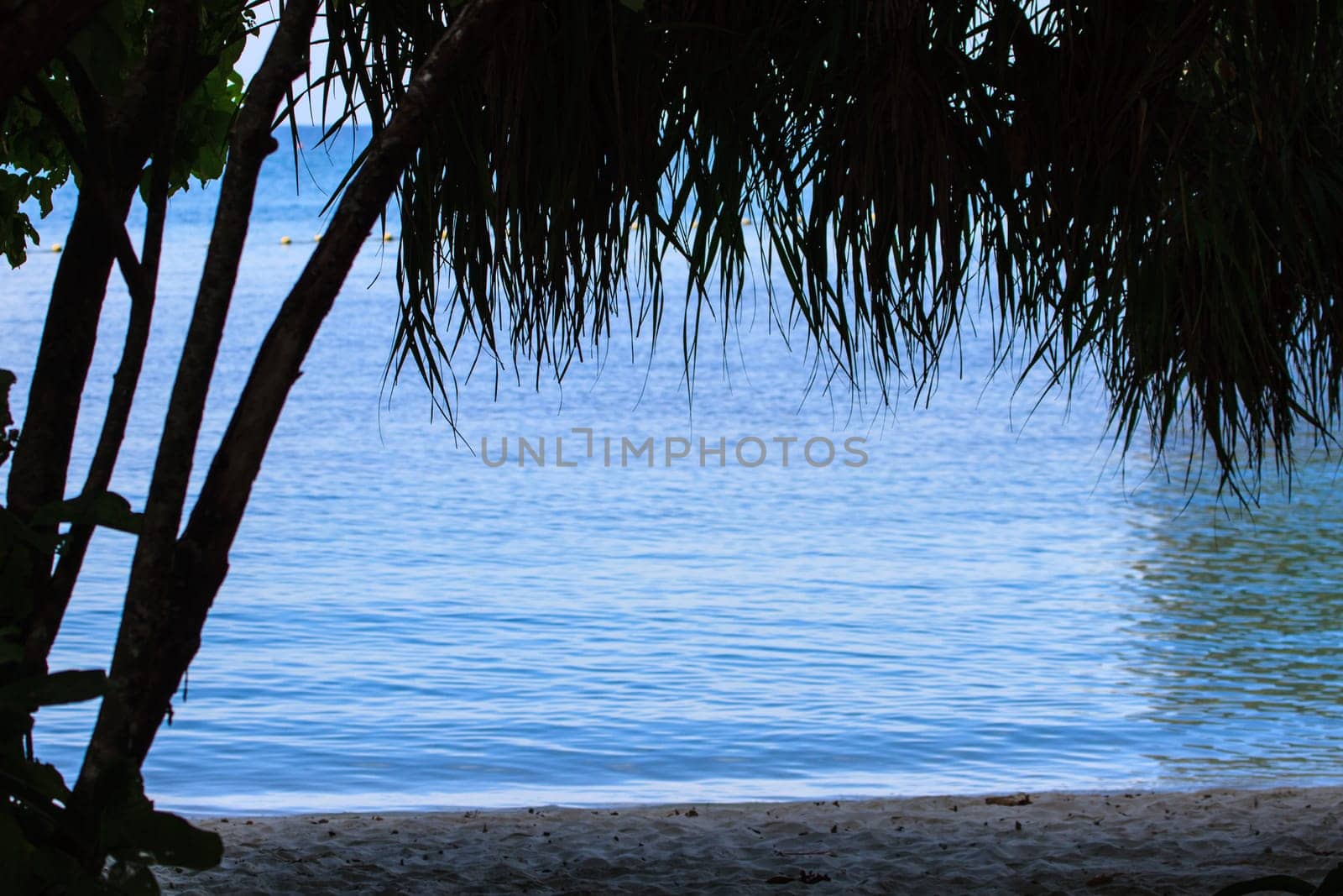 View of koh hong island krabi,Thailand, Tropical beach scenery