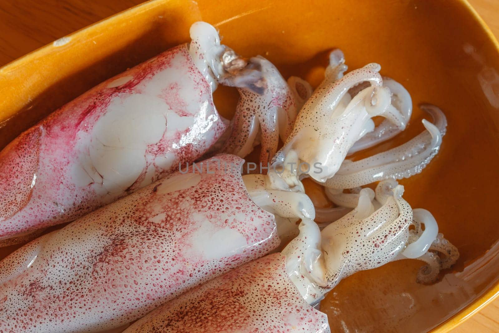 Raw squid on wooden background for cooking
