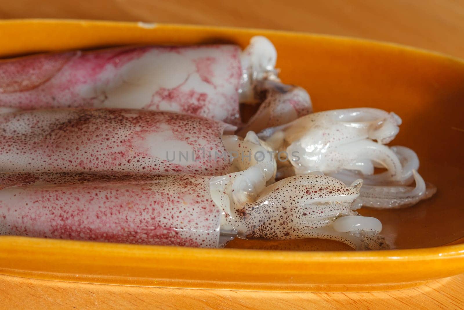 Raw squid on wooden background for cooking