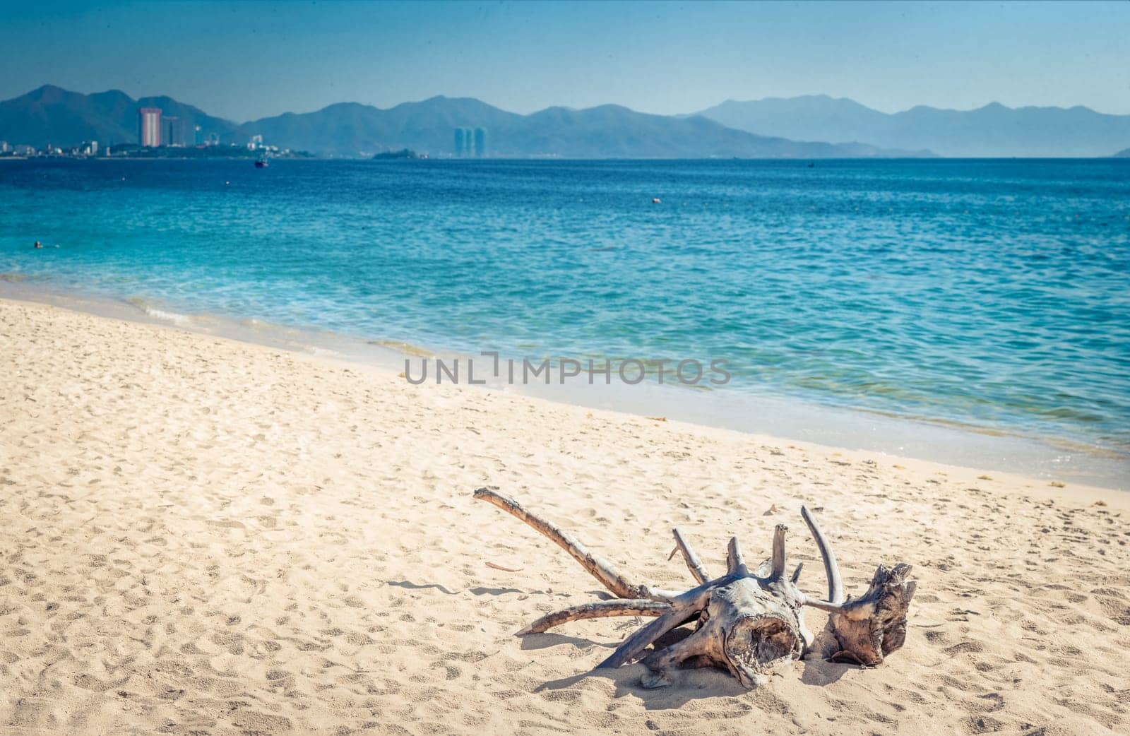 Scenic view of Nha Trang beach at sunny day. Beautiful tropical landscape. Snag on the foreground. High resolution panorama