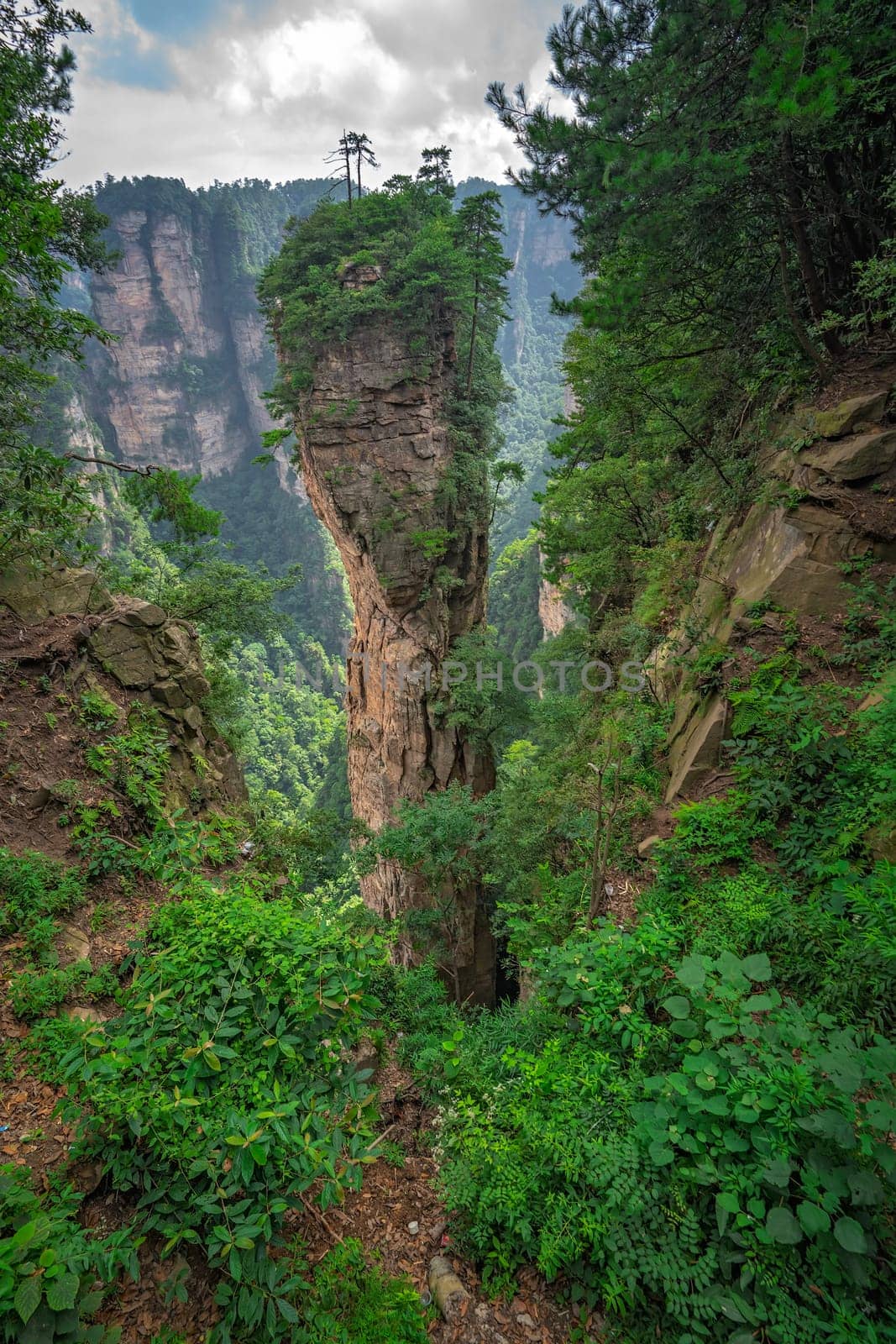 Heaven Pillar Hallelujah Mountain in Tianzi mountain range, Avatar mountains nature park, Zhangjiajie, China