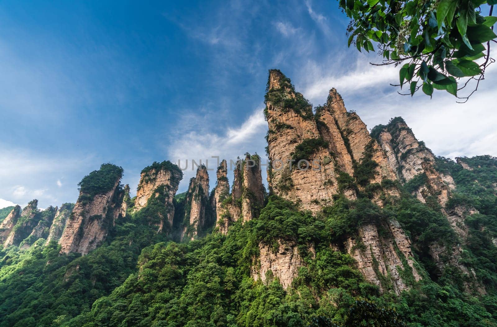 The Gathering of Heavenly Soldiers scenic rock formations, Avatar mountains nature park, Zhangjiajie, Hunan Province, China