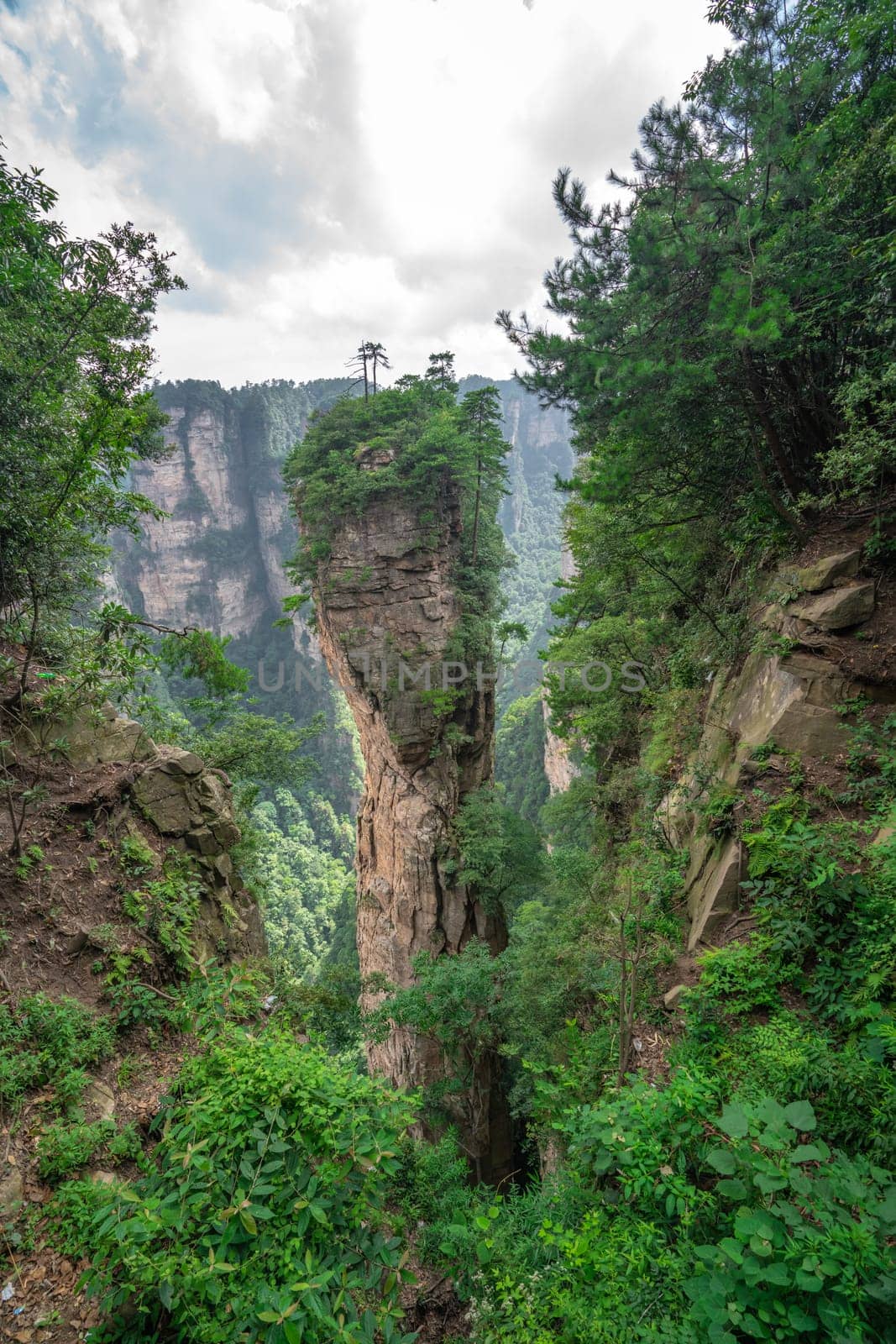 Heaven Pillar Hallelujah Mountain in Tianzi mountain range, Avatar mountains nature park, Zhangjiajie, China