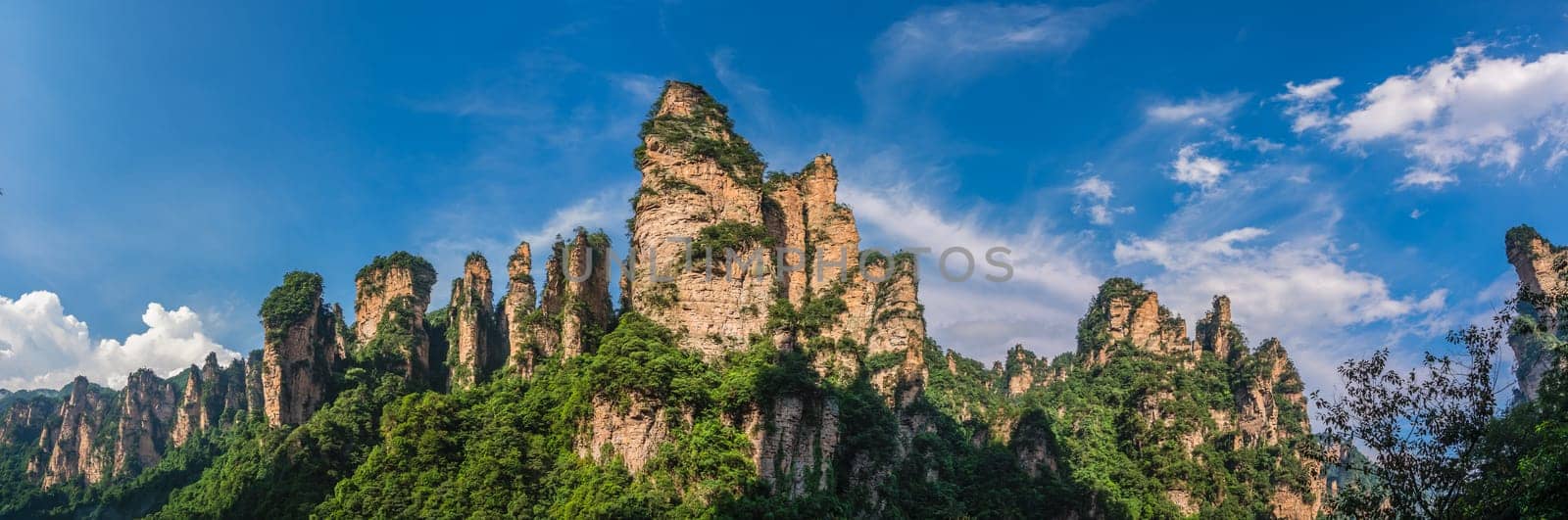 Panorama of the Gathering of Heavenly Soldiers scenic rock formations, Avatar mountains nature park, Zhangjiajie, Hunan Province, China