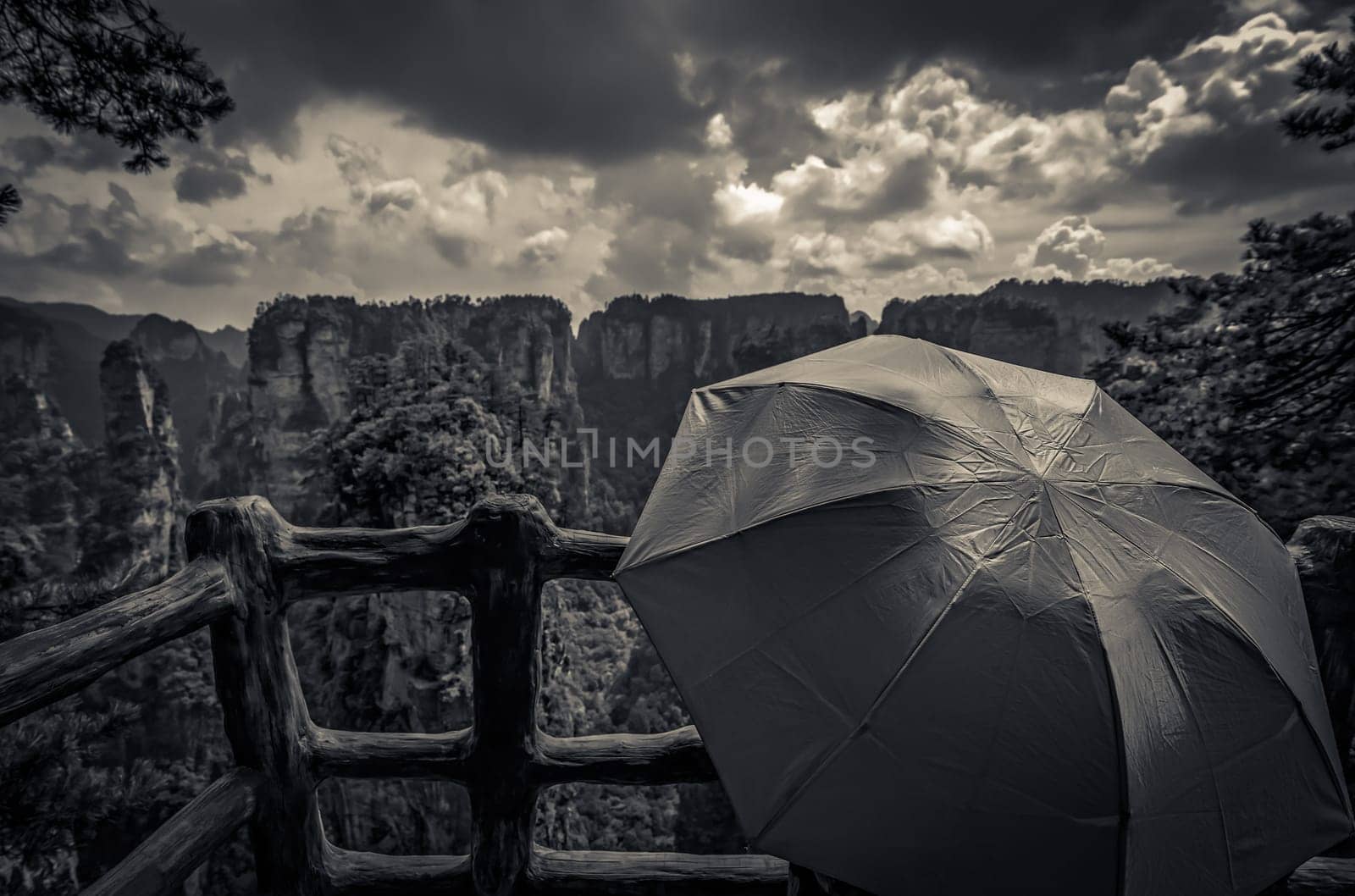 Tourists holding umbrella admiring the view and  on the scenic viewpoint, Avatar mountains nature park, Zhangjiajie, China